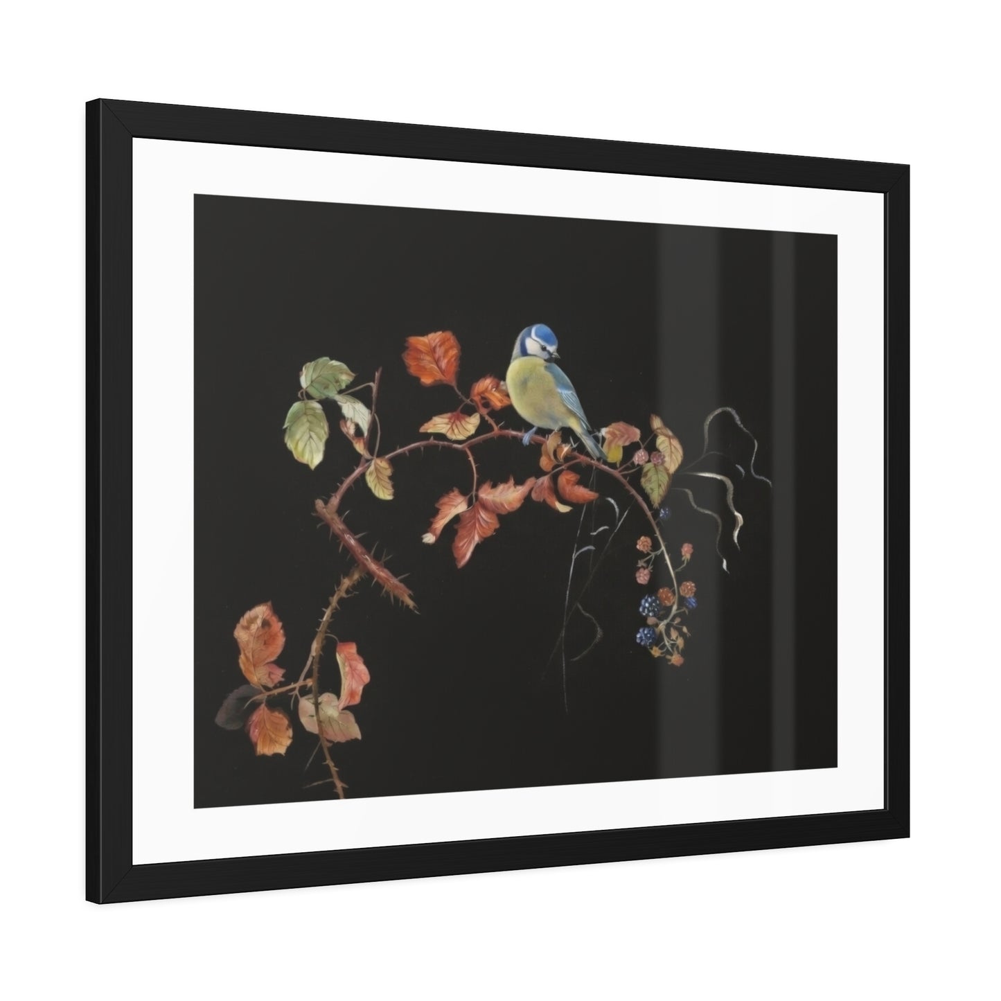Framed Bird Print Poster — Vintage Botanical Bird Illustration on Black