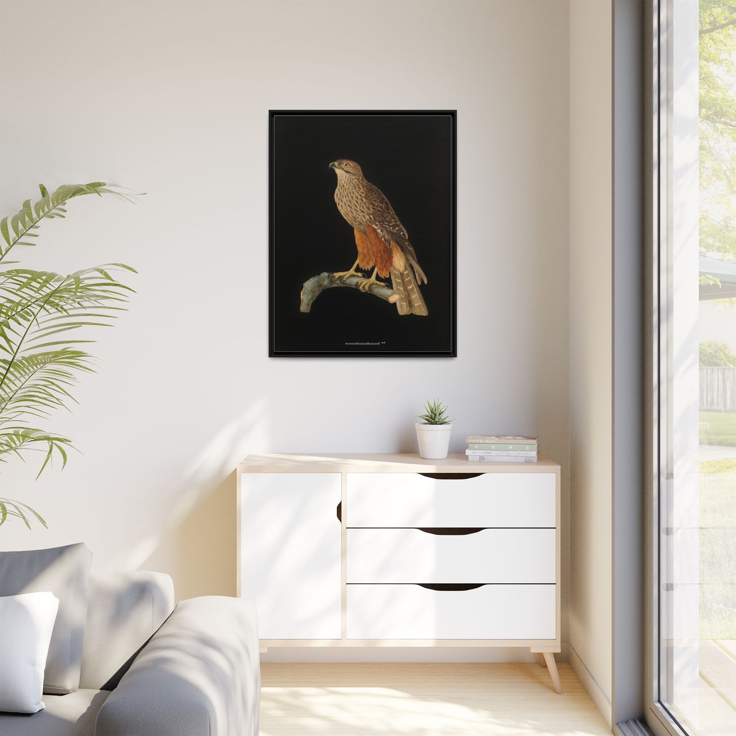 Framed Matte Canvas Print — Vintage Red-Shouldered Hawk Illustration