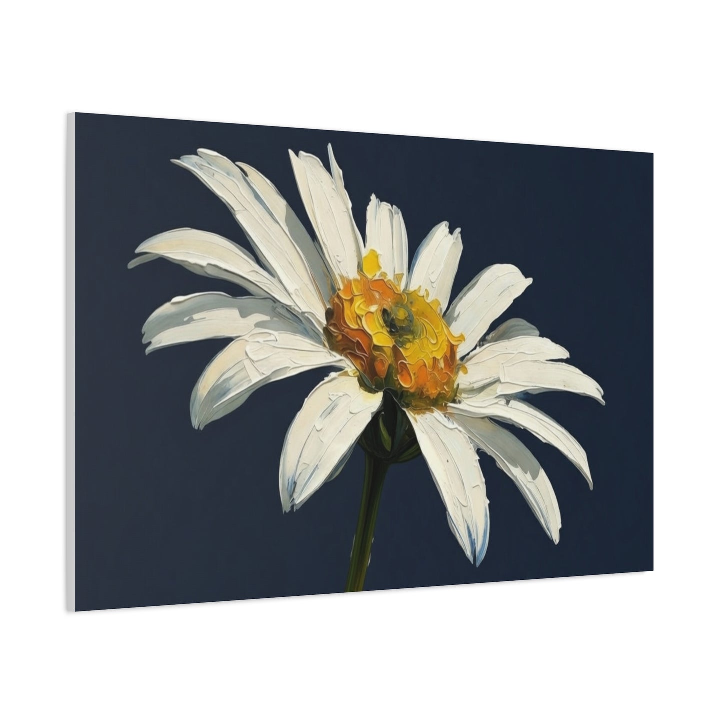 Daisy Oil-Paint Canvas Wall Art — Stretched Matte Floral Print