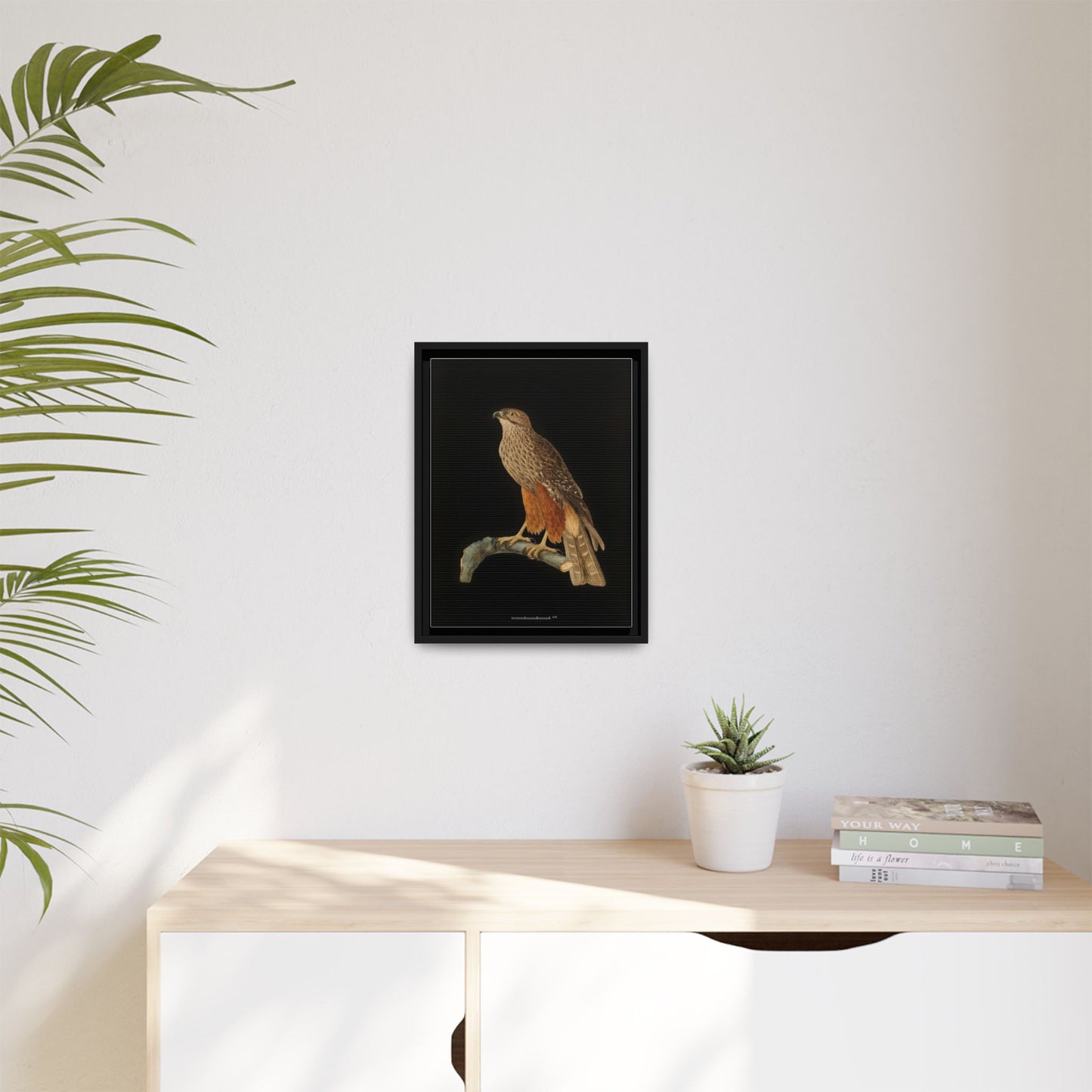 Framed Matte Canvas Print — Vintage Red-Shouldered Hawk Illustration