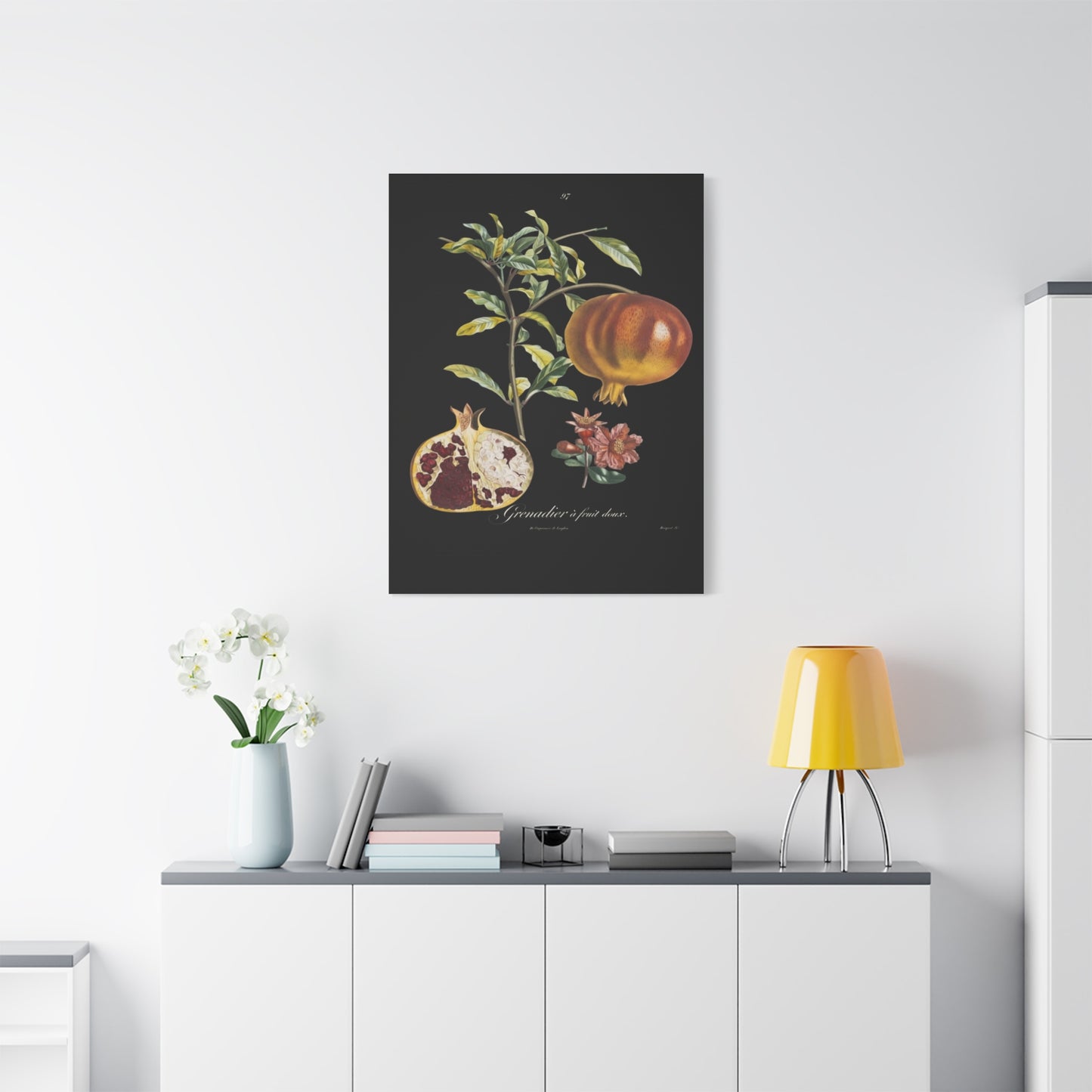 Pomegranate Botanical Canvas Print — Matte Stretched Wall Art