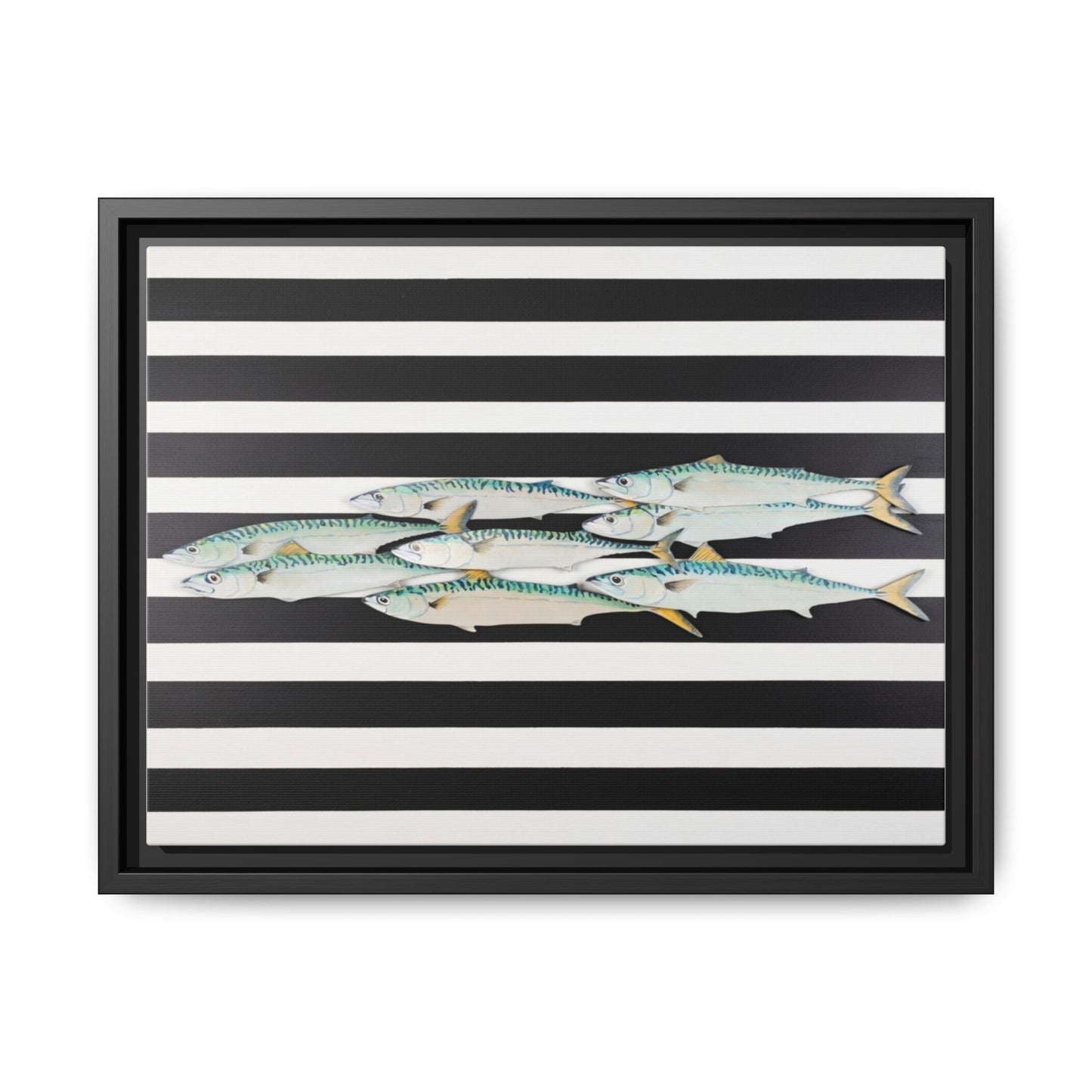Striped Mackerel Canvas Print — Framed Matte Fish Wall Art