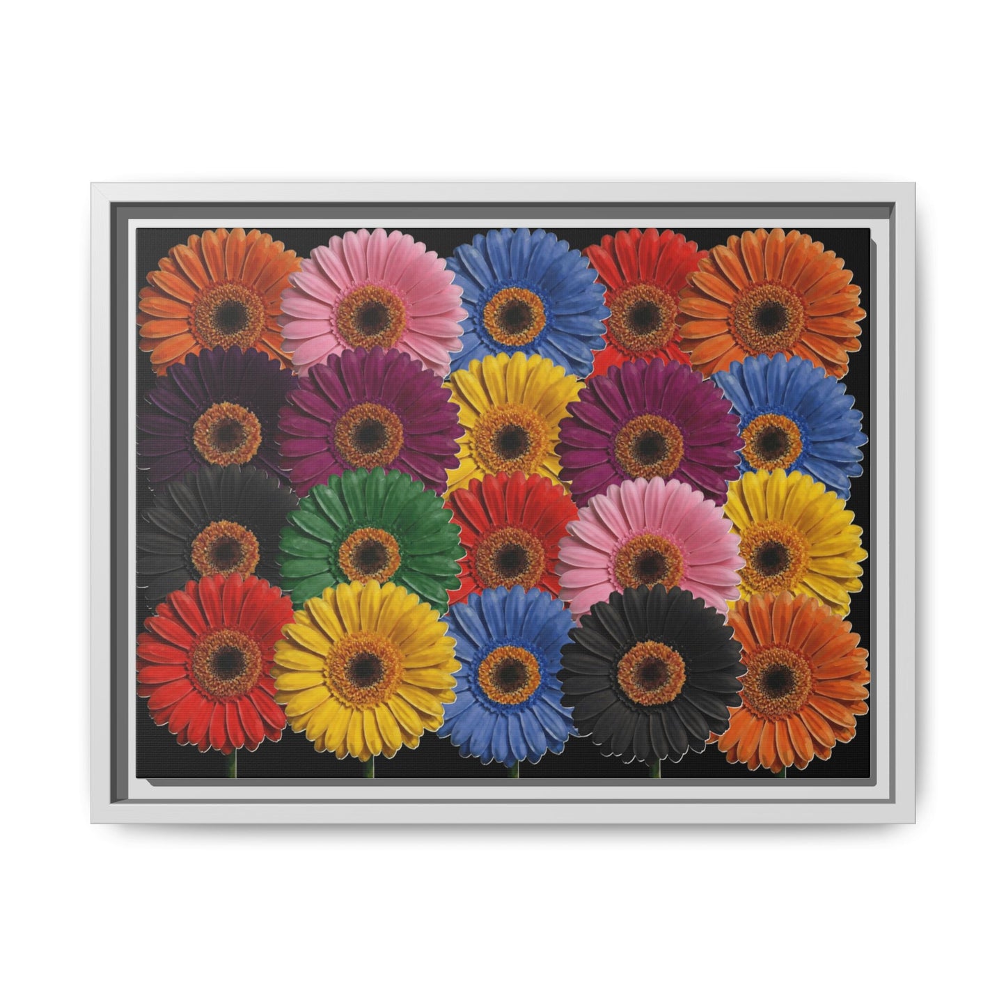 Framed Matte Canvas - Rainbow Gerbera Daisy Wall Art