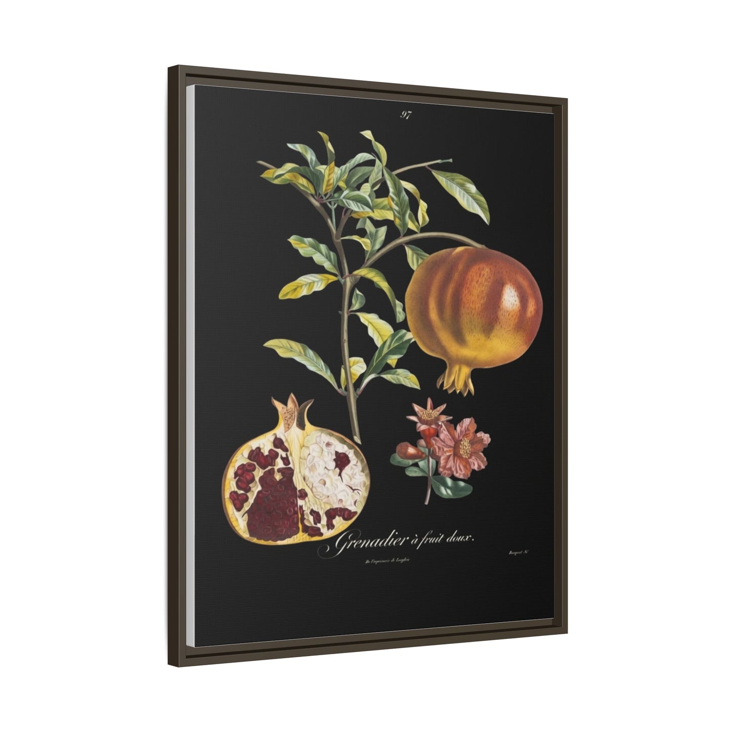 Pomegranate Botanical Framed Canvas Print — Vintage Fruit Wall Art