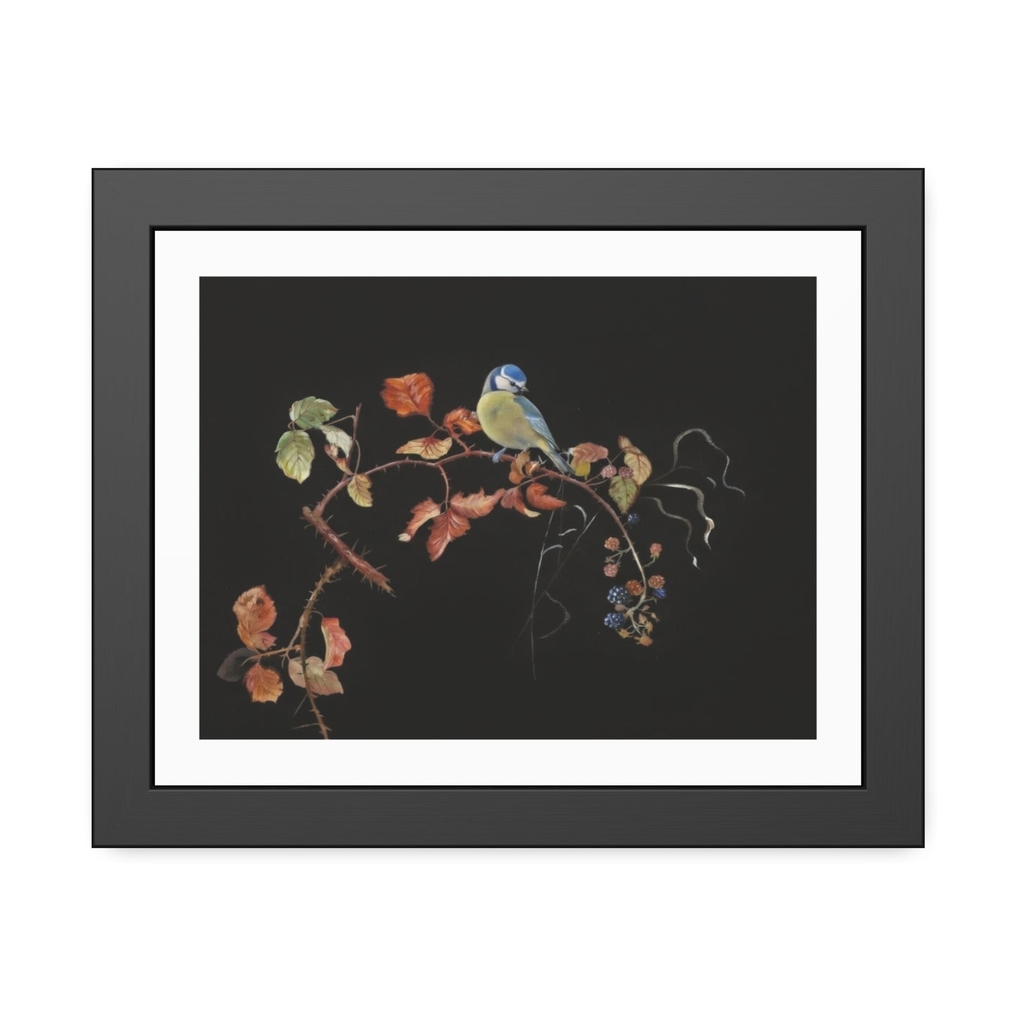 Framed Bird Print Poster — Vintage Botanical Bird Illustration on Black