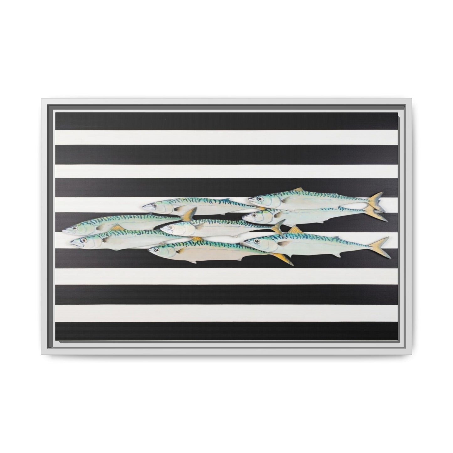 Striped Mackerel Canvas Print — Framed Matte Fish Wall Art