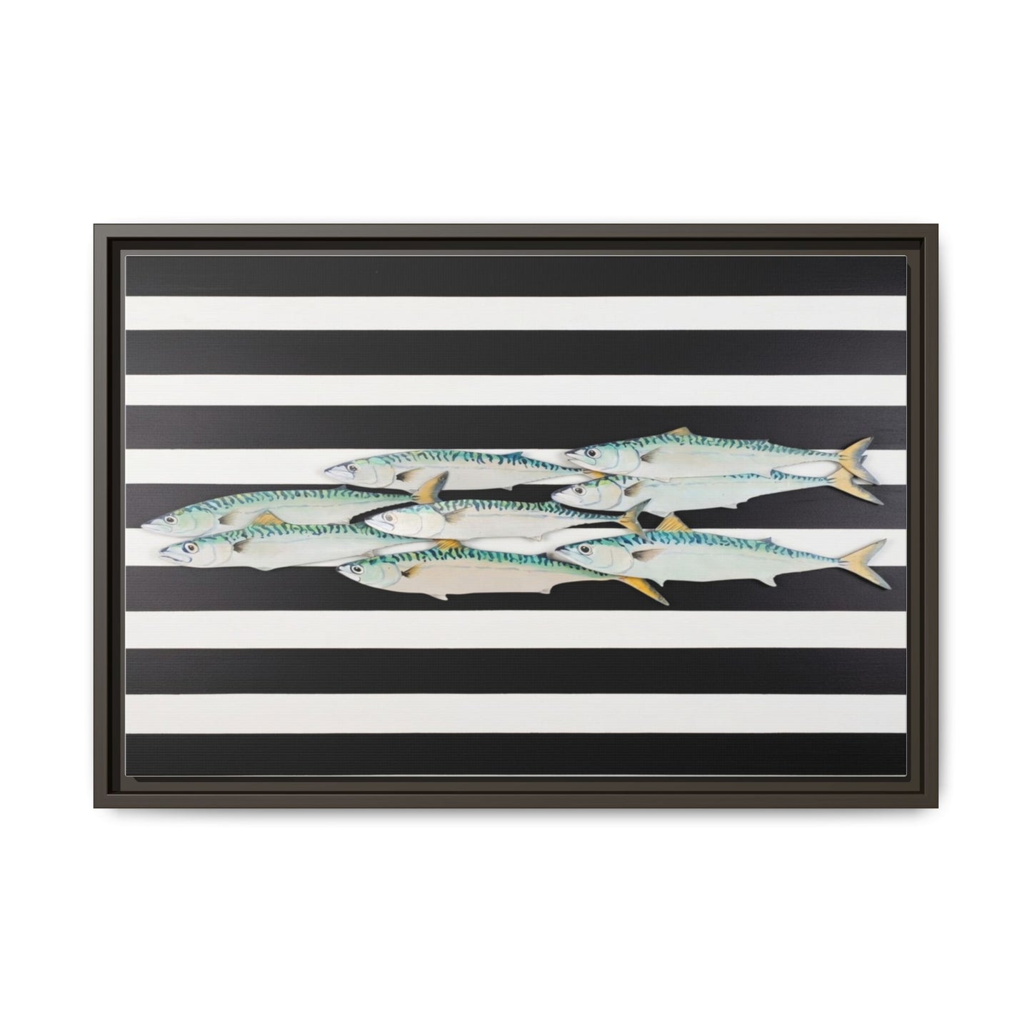 Striped Mackerel Canvas Print — Framed Matte Fish Wall Art