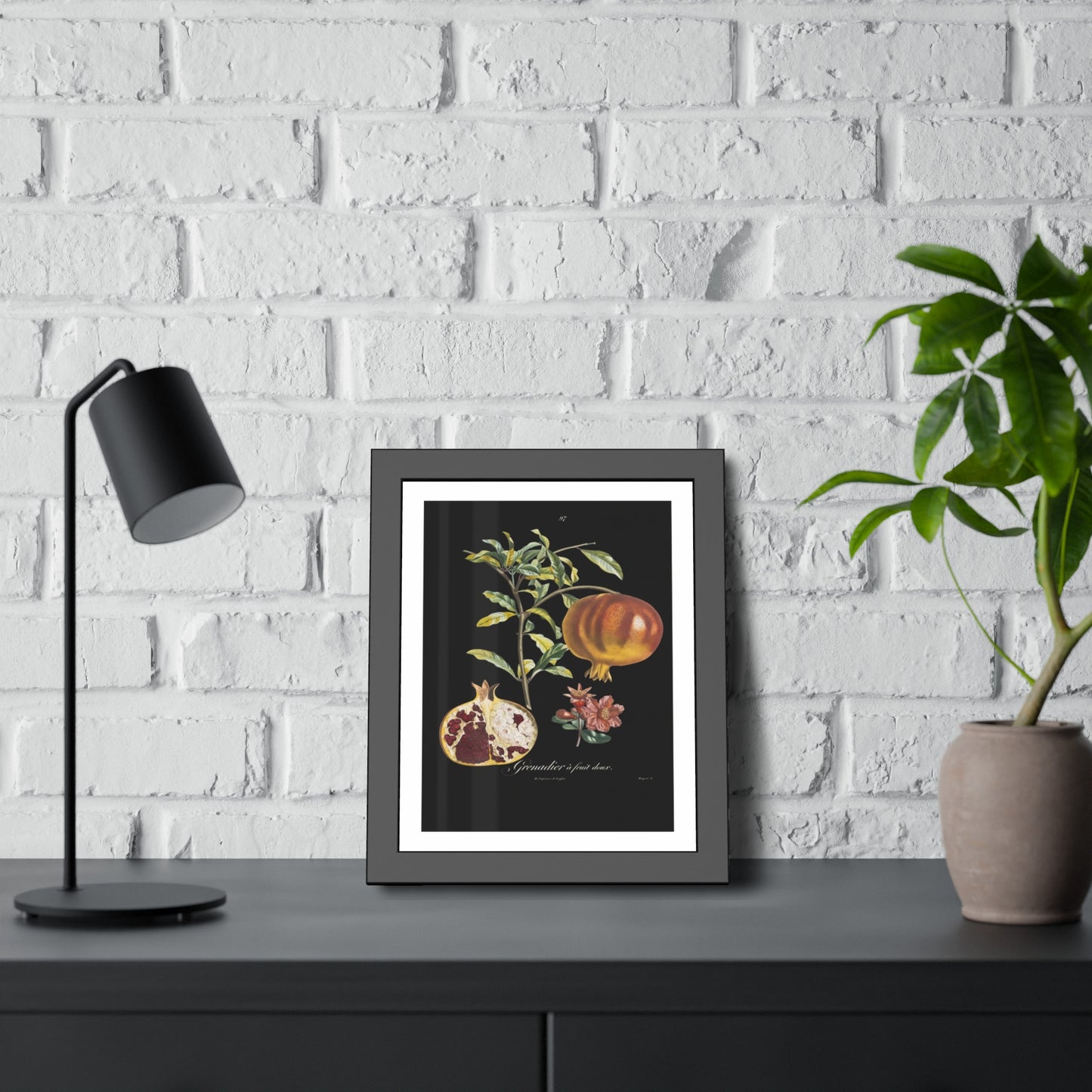 Pomegranate Botanical Framed Poster — Vintage Fruit Art Print