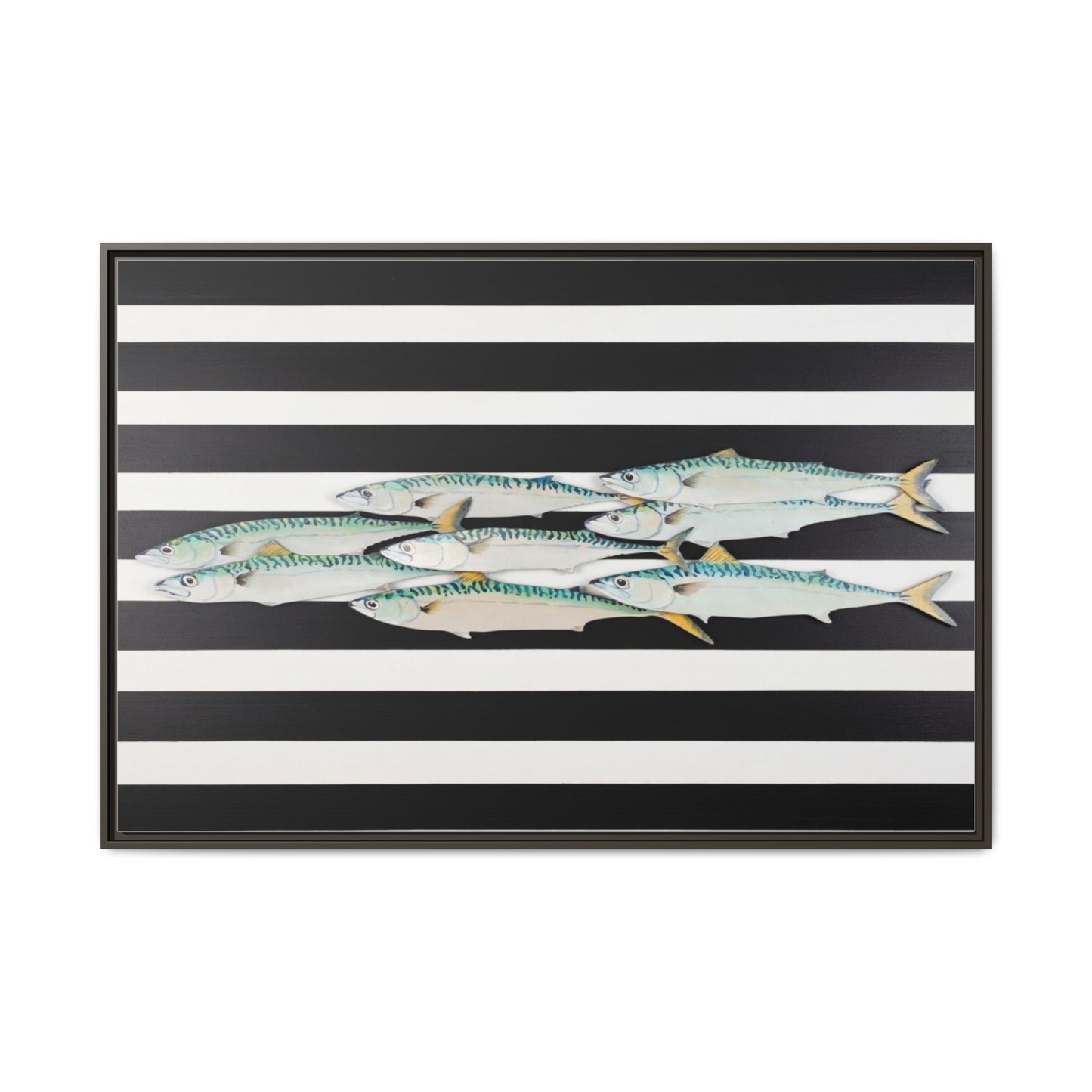 Striped Mackerel Canvas Print — Framed Matte Fish Wall Art