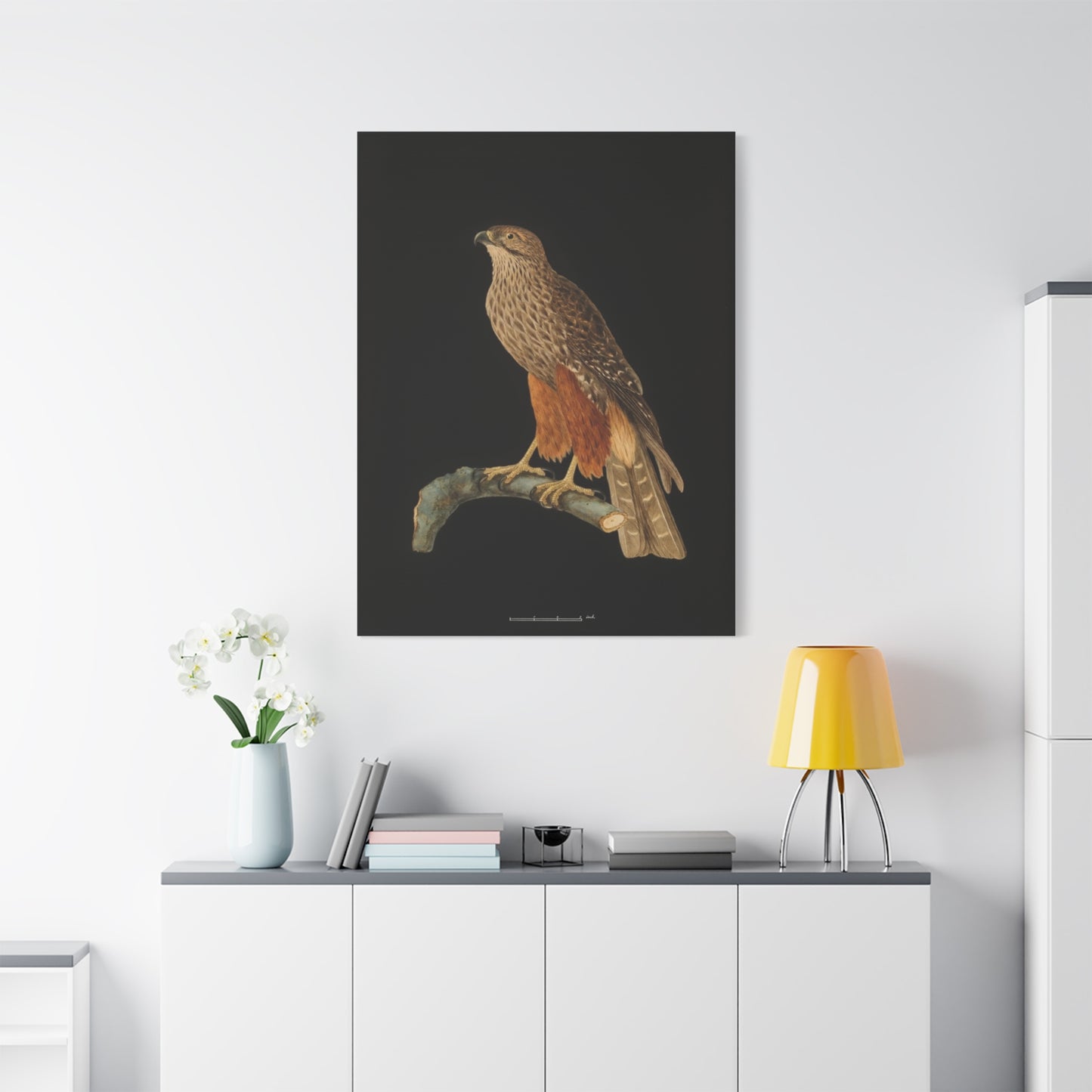 Falcon Art Canvas Print — Matte Stretched Bird Illustration