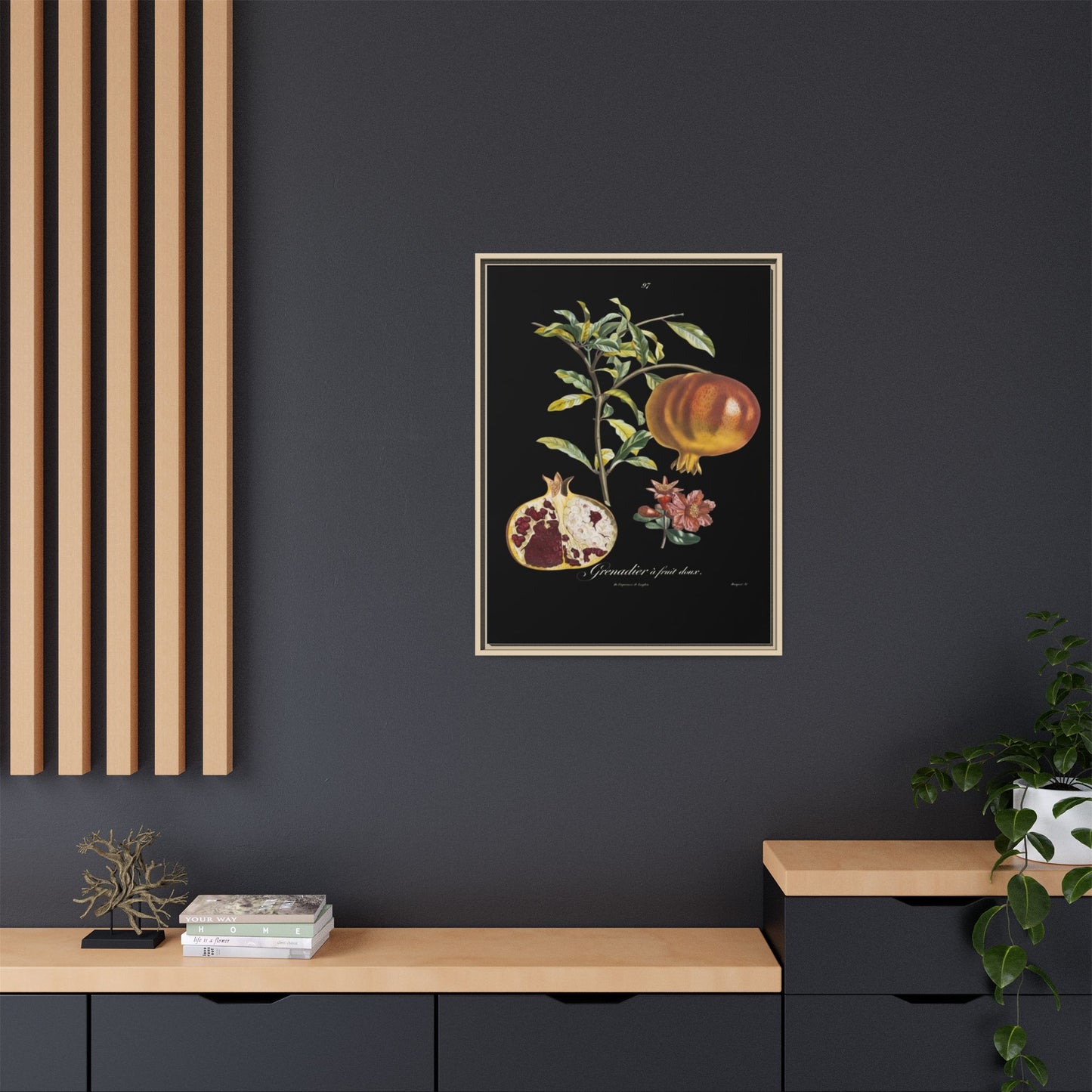 Pomegranate Botanical Framed Canvas Print — Vintage Fruit Wall Art