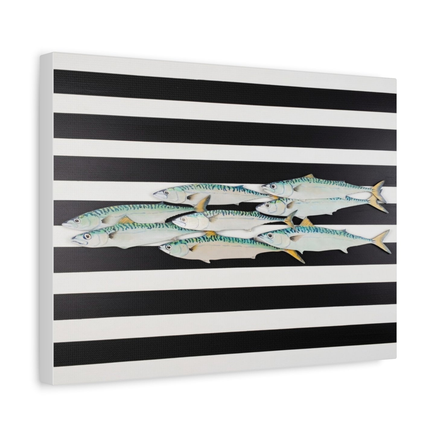 Striped Mackerel School Matte Canvas Print