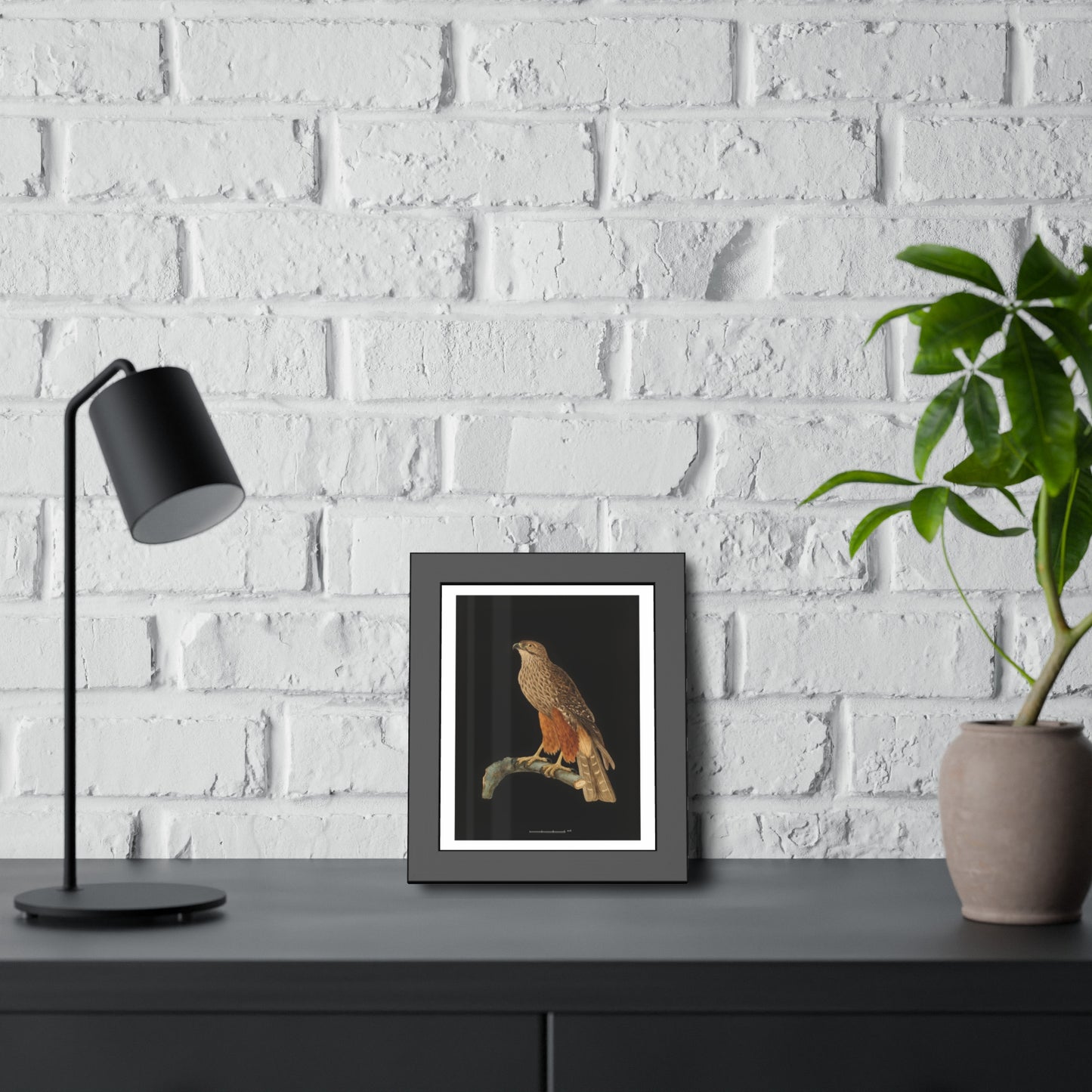 Framed Bird Art Print — Vintage Red-Shouldered Hawk Illustration Poster