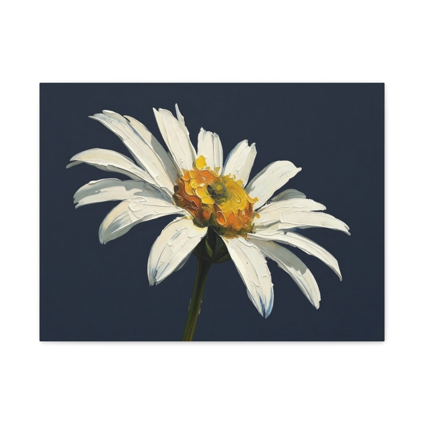 Daisy Oil-Paint Canvas Wall Art — Stretched Matte Floral Print