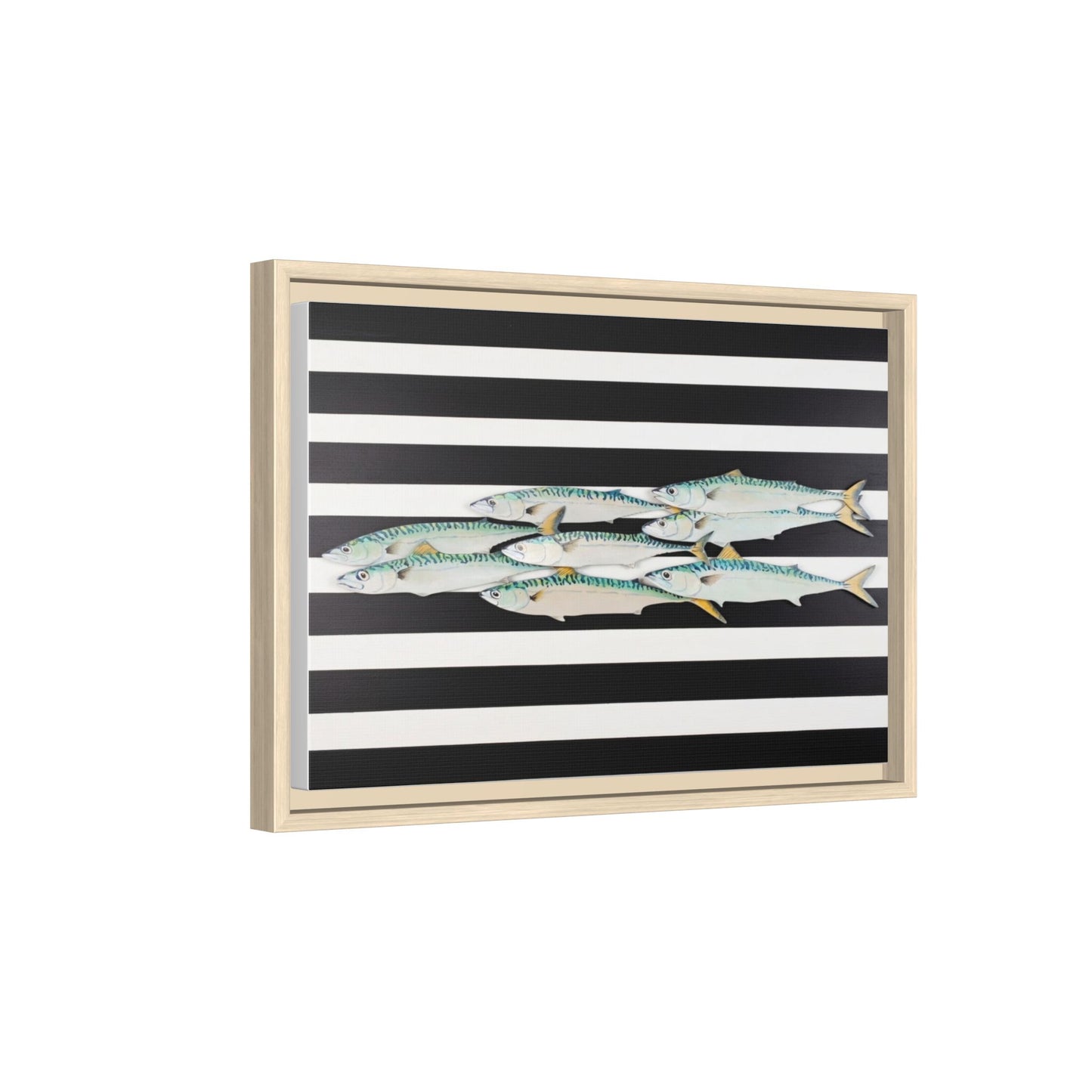 Striped Mackerel Canvas Print — Framed Matte Fish Wall Art