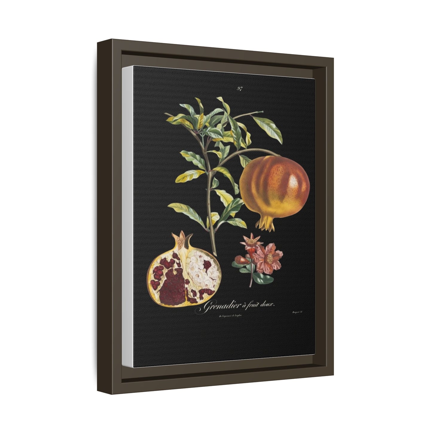 Pomegranate Botanical Framed Canvas Print — Vintage Fruit Wall Art