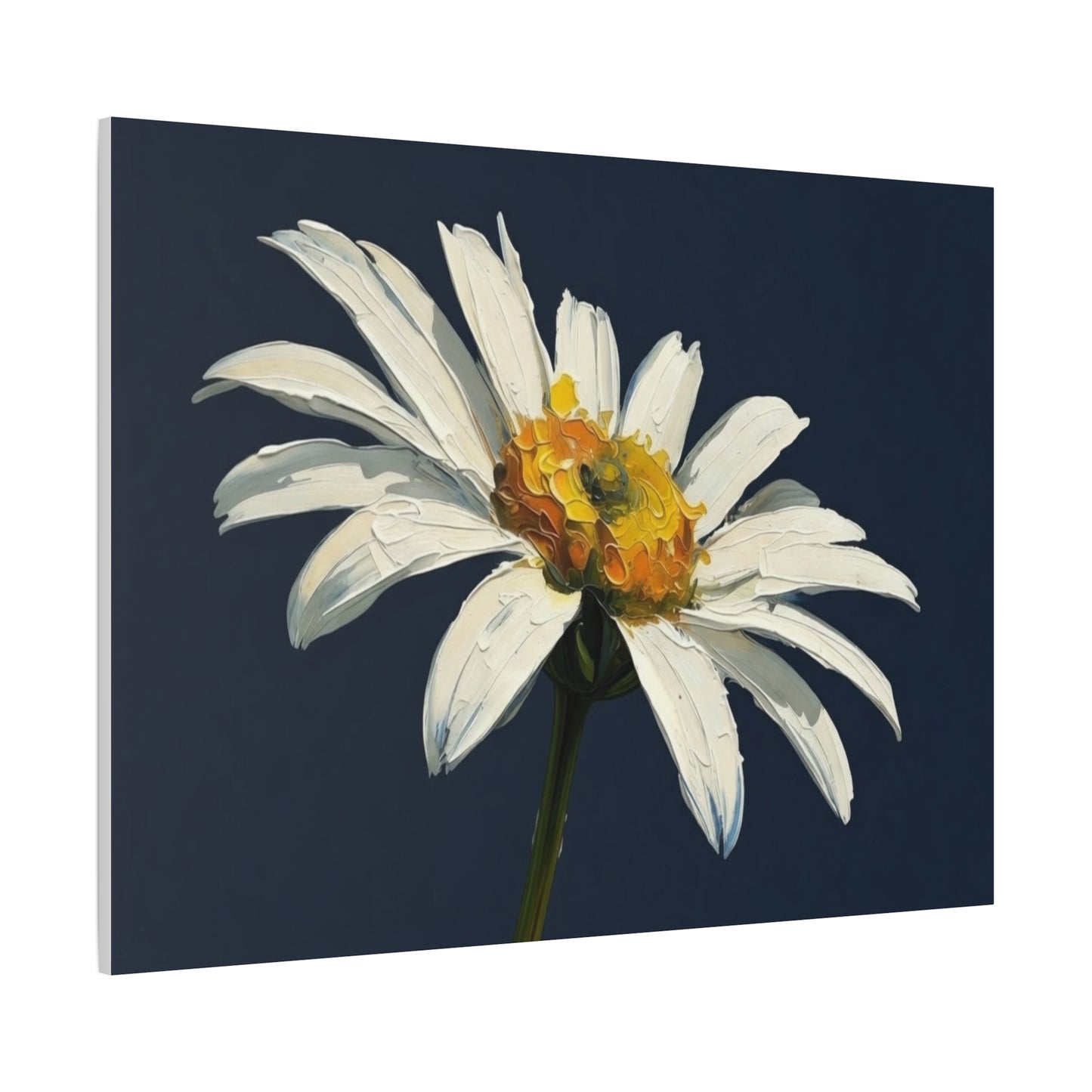 Daisy Oil-Paint Canvas Wall Art — Stretched Matte Floral Print