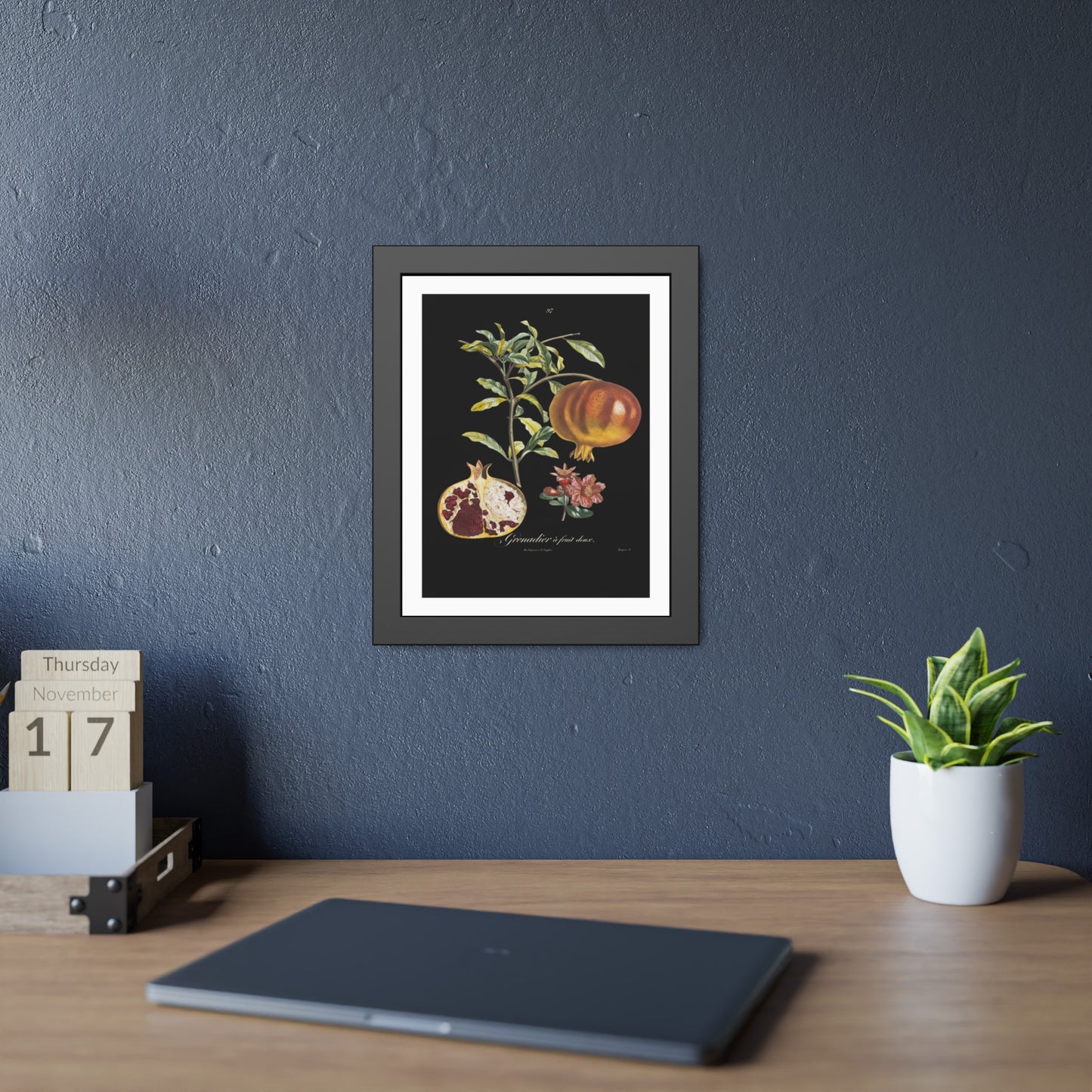 Pomegranate Botanical Framed Poster — Vintage Fruit Art Print