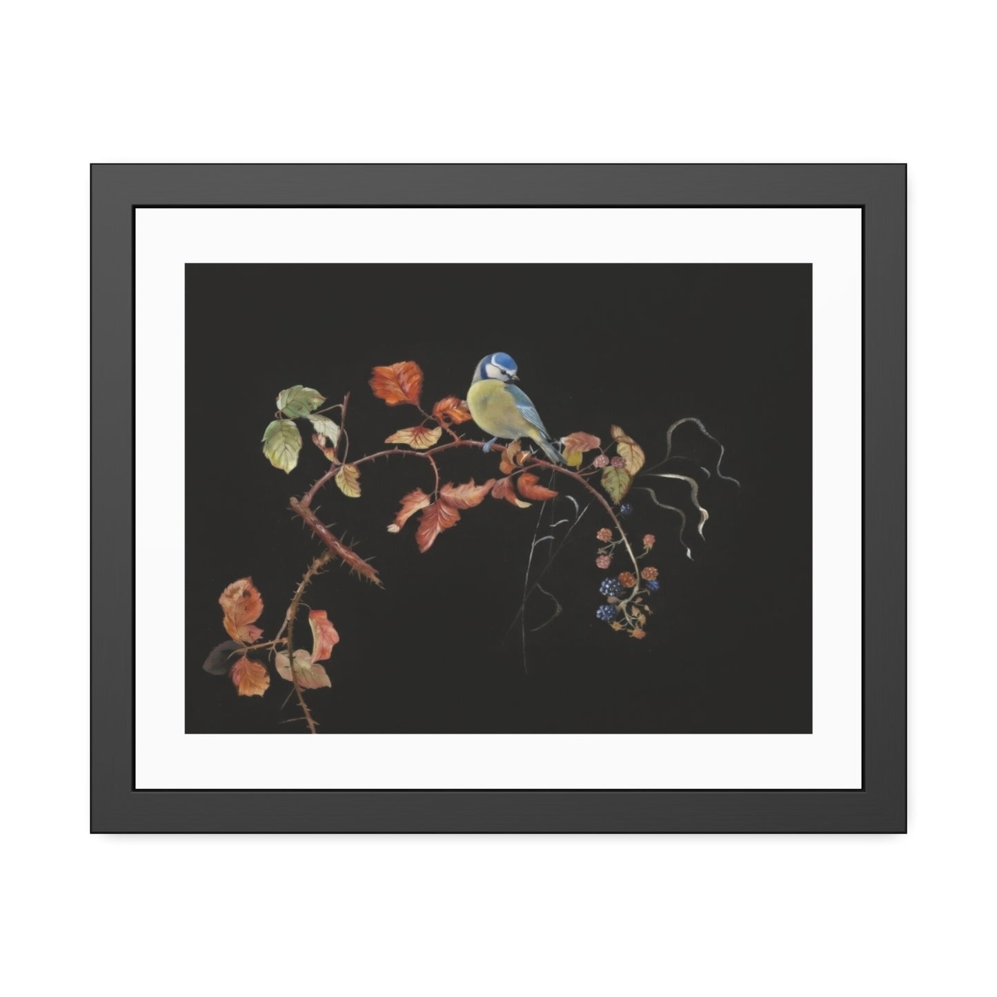 Framed Bird Print Poster — Vintage Botanical Bird Illustration on Black