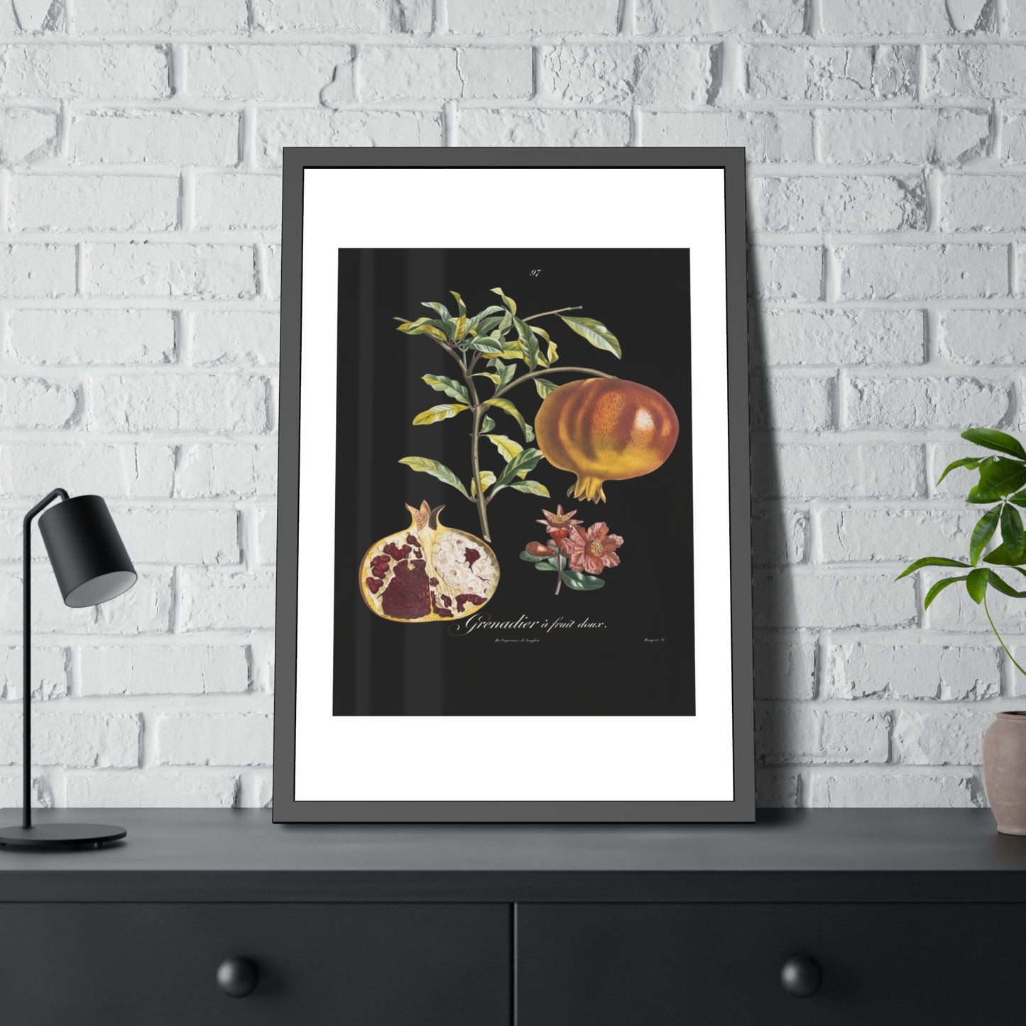 Pomegranate Botanical Framed Poster — Vintage Fruit Art Print