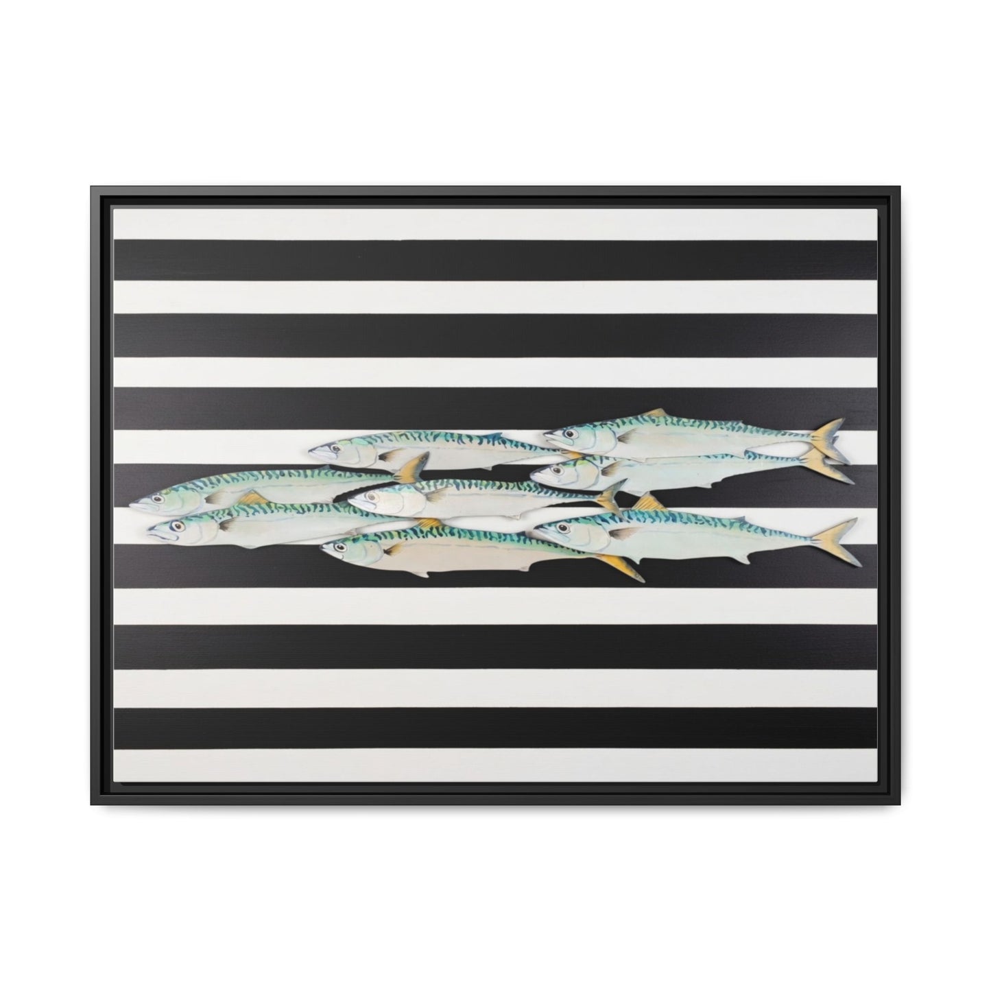 Striped Mackerel Canvas Print — Framed Matte Fish Wall Art