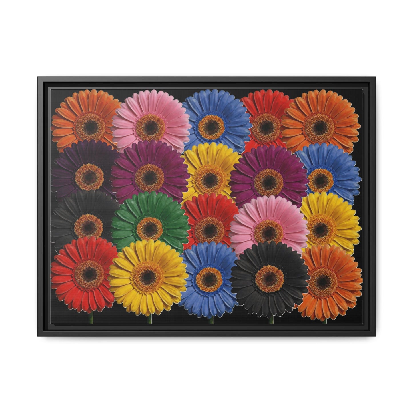 Framed Matte Canvas - Rainbow Gerbera Daisy Wall Art