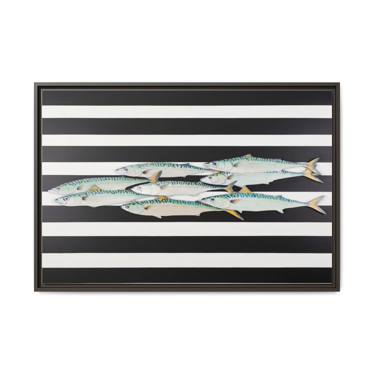 Striped Mackerel Canvas Print — Framed Matte Fish Wall Art