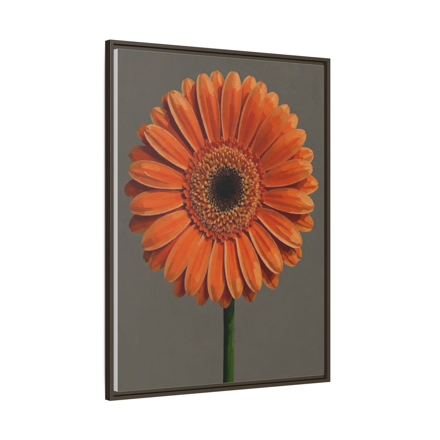 Orange Gerbera Daisy Matte Canvas Print (Framed)
