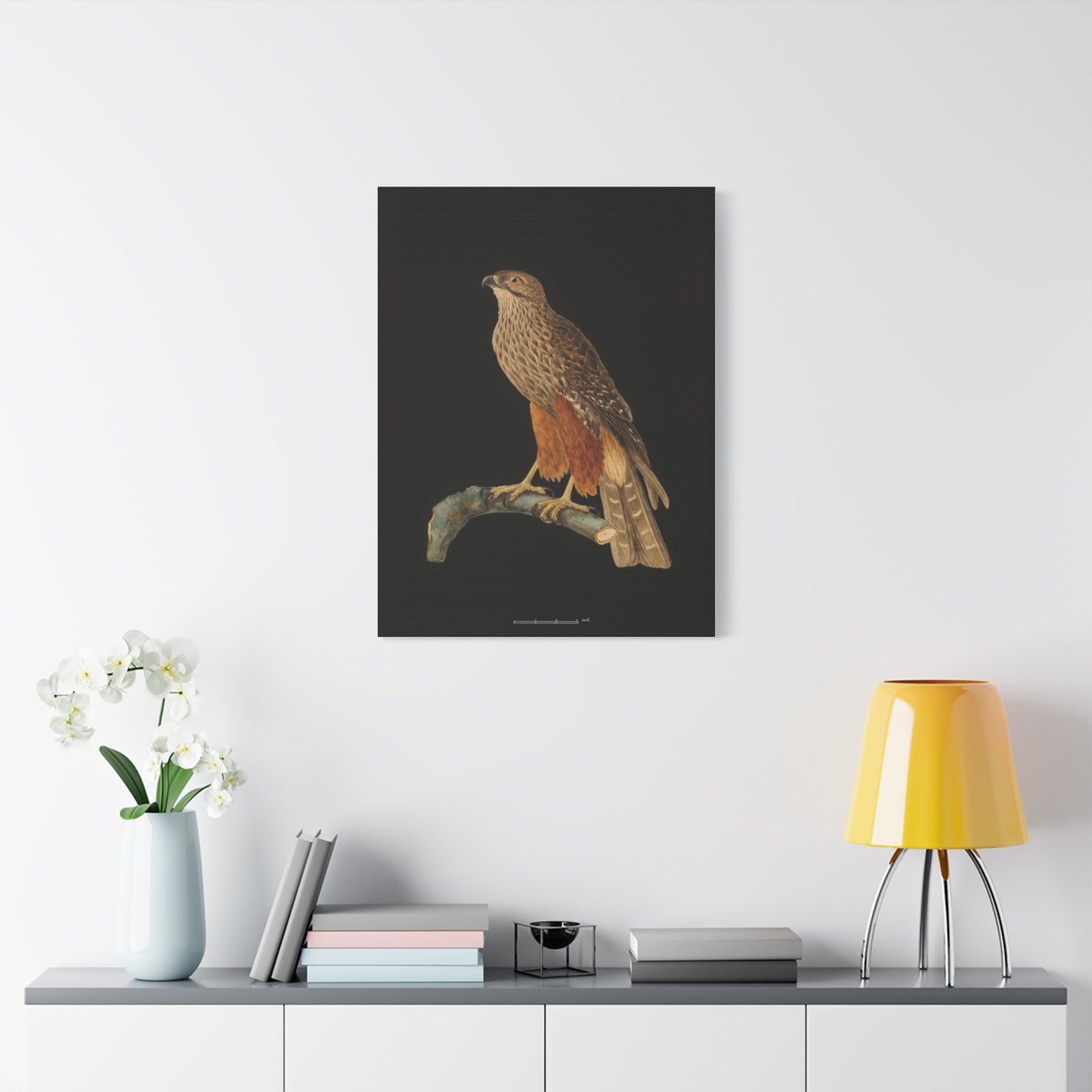 Falcon Art Canvas Print — Matte Stretched Bird Illustration
