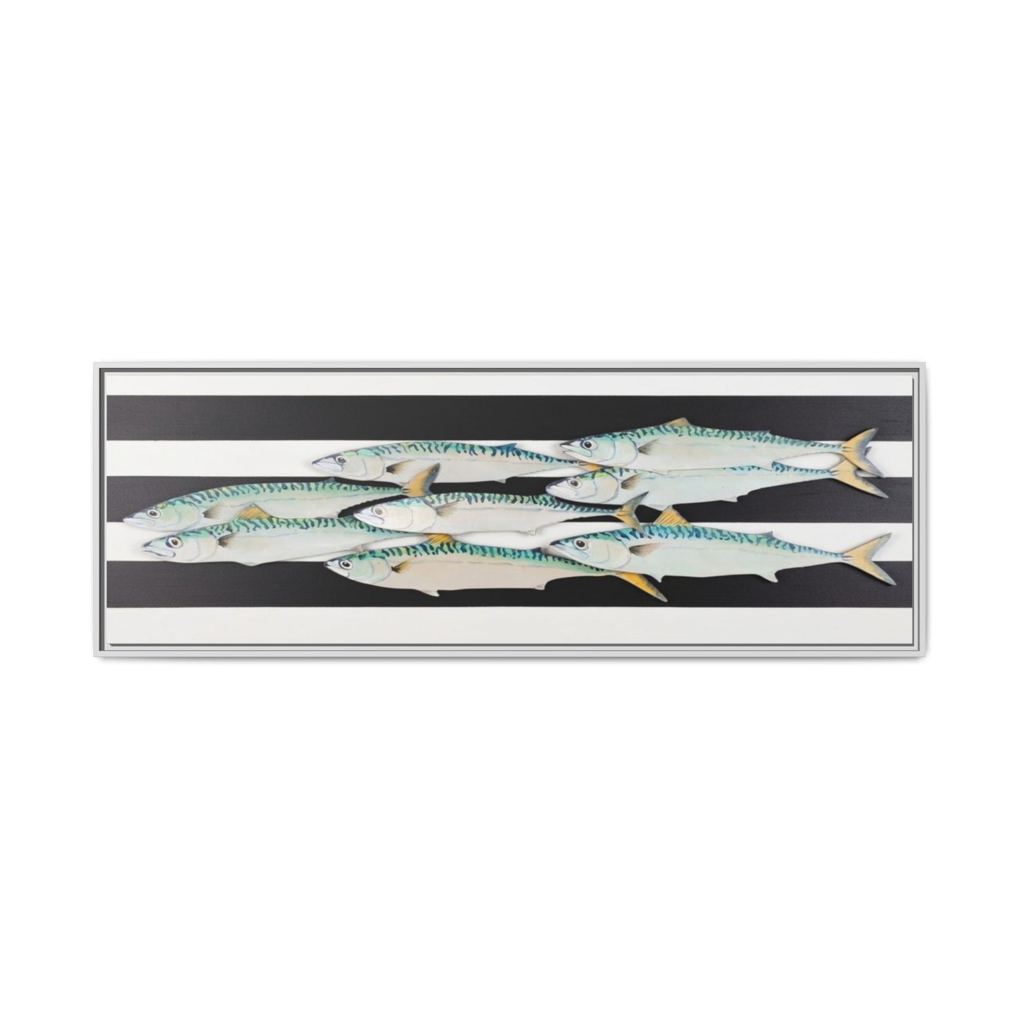 Striped Mackerel Canvas Print — Framed Matte Fish Wall Art