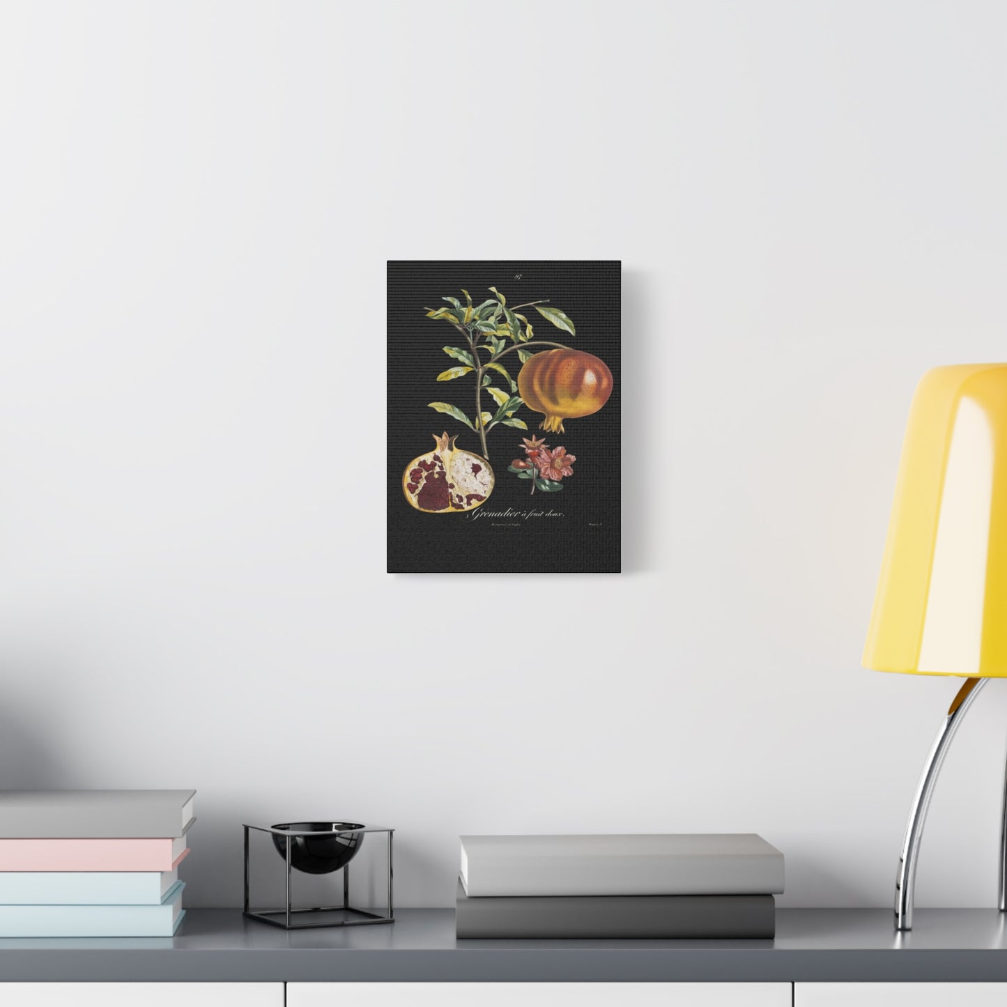 Pomegranate Botanical Canvas Print — Matte Stretched Wall Art