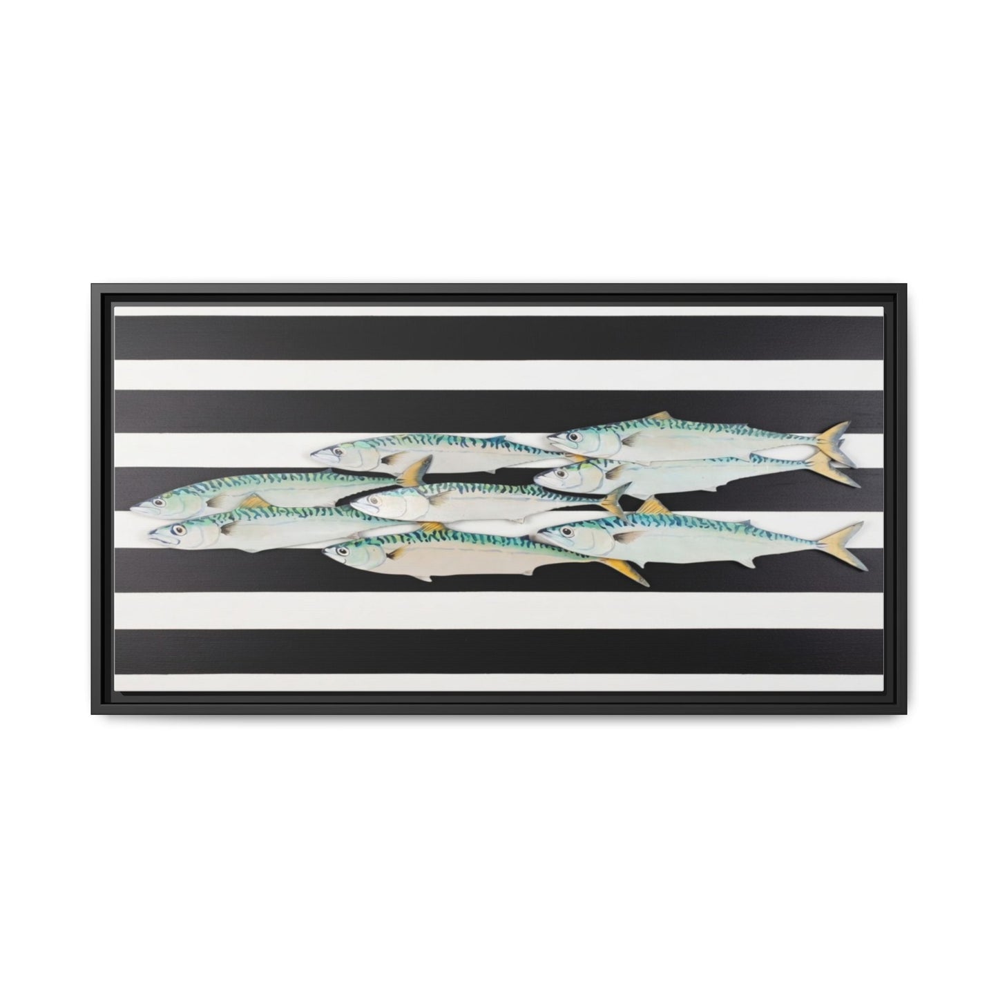 Striped Mackerel Canvas Print — Framed Matte Fish Wall Art