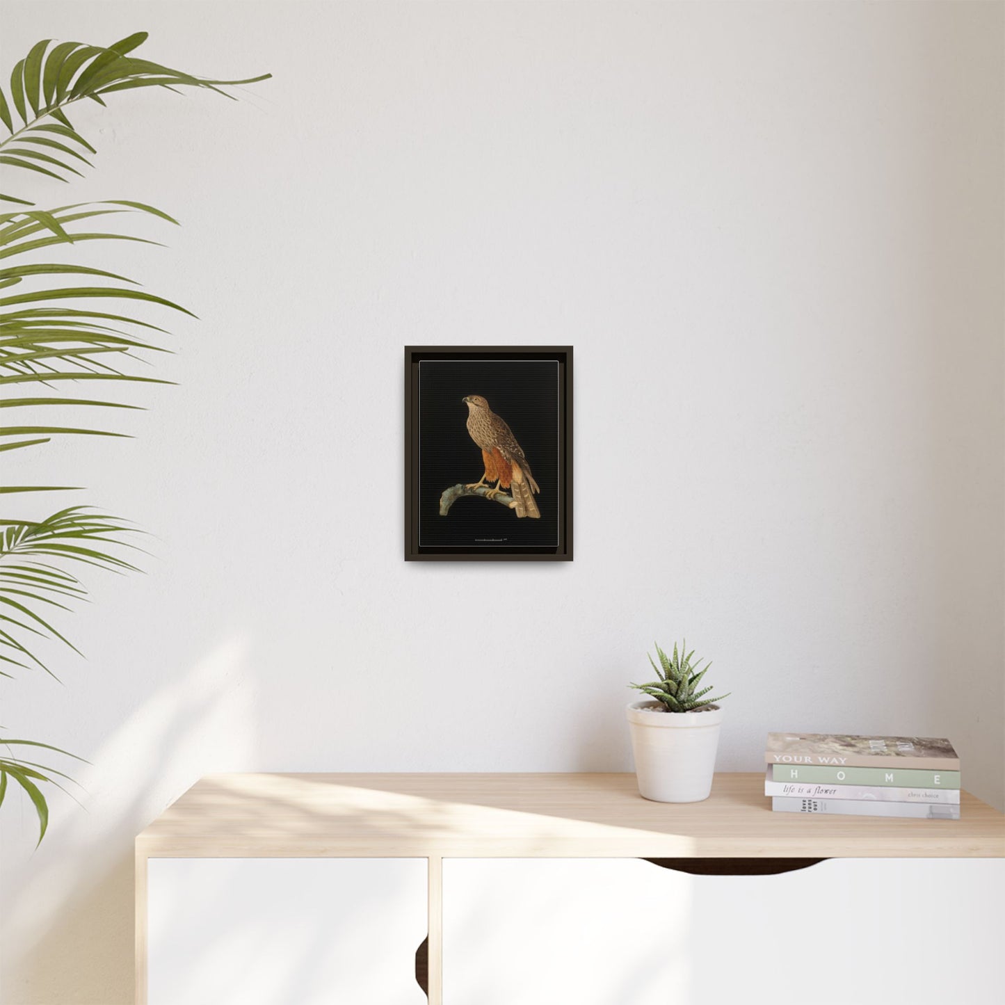 Framed Matte Canvas Print — Vintage Red-Shouldered Hawk Illustration