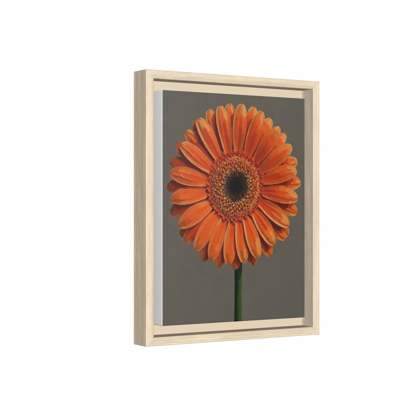 Orange Gerbera Daisy Matte Canvas Print (Framed)