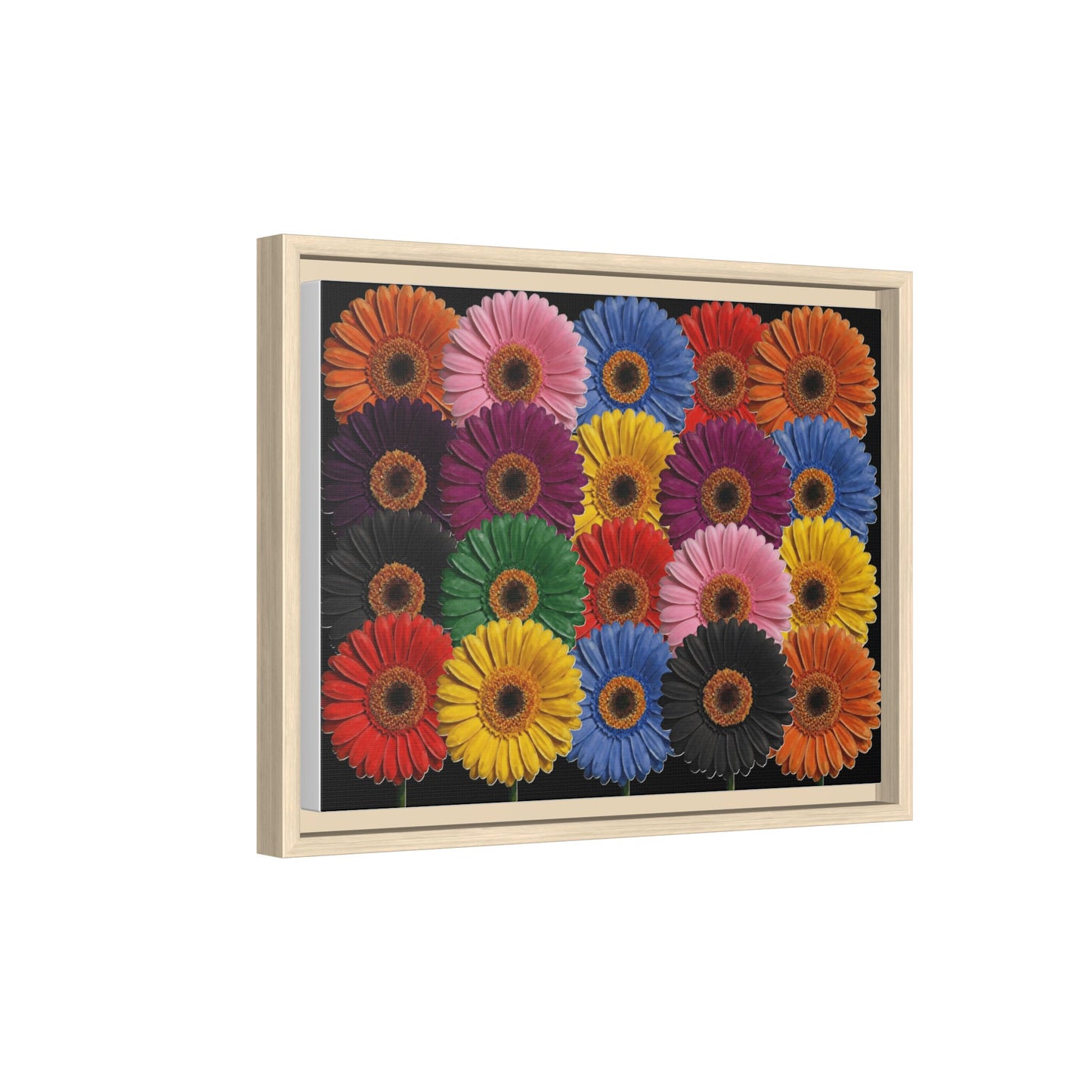 Framed Matte Canvas - Rainbow Gerbera Daisy Wall Art