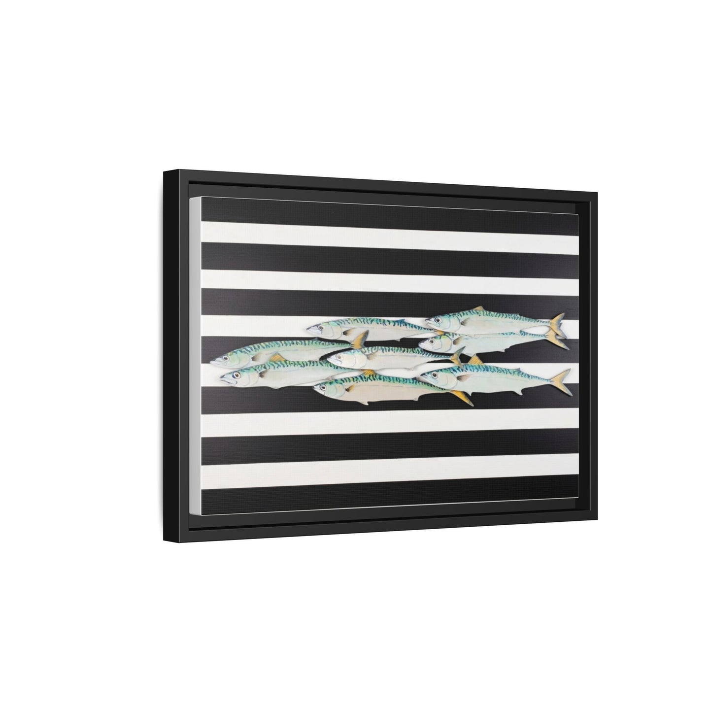 Striped Mackerel Canvas Print — Framed Matte Fish Wall Art