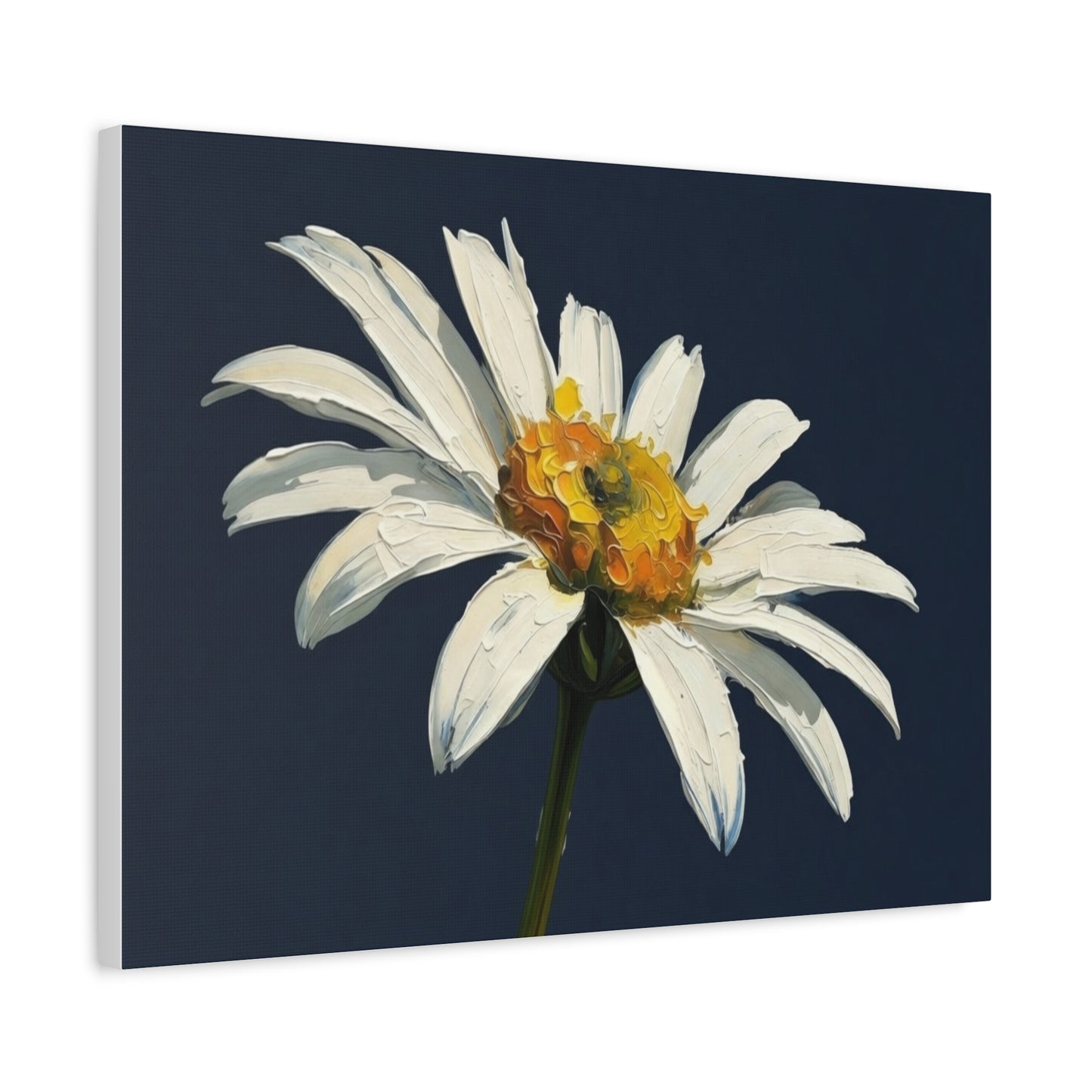 Daisy Oil-Paint Canvas Wall Art — Stretched Matte Floral Print