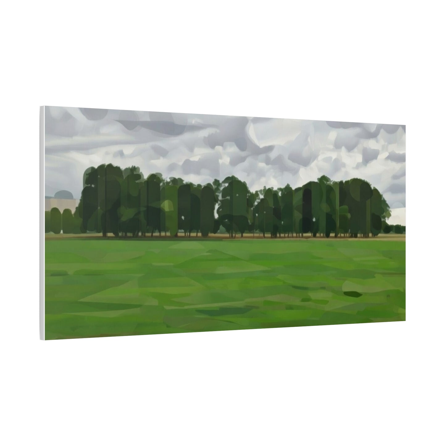 Green Field Landscape Canvas Print — Tranquil Park Scene Matte Stretched Canvas