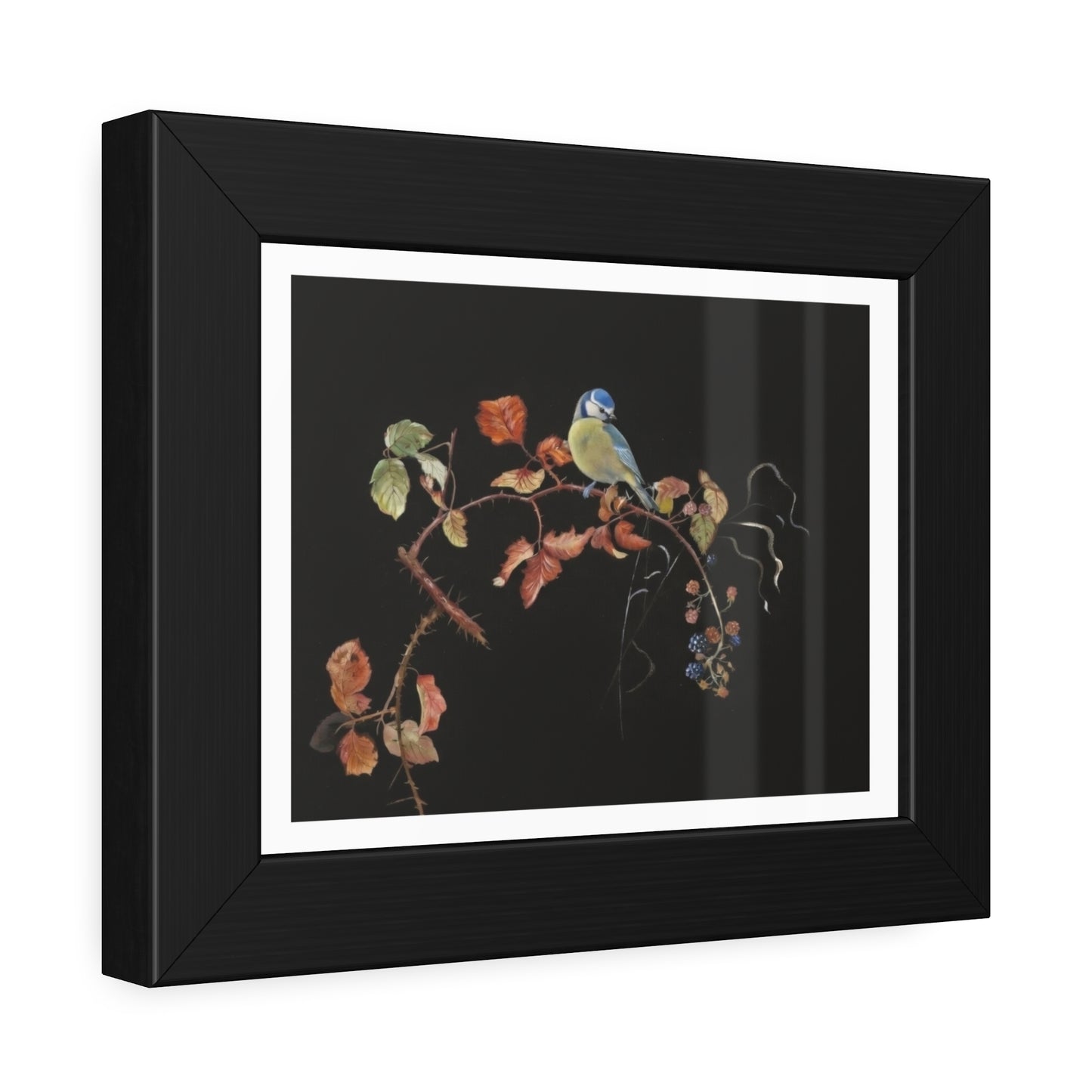 Framed Bird Print Poster — Vintage Botanical Bird Illustration on Black