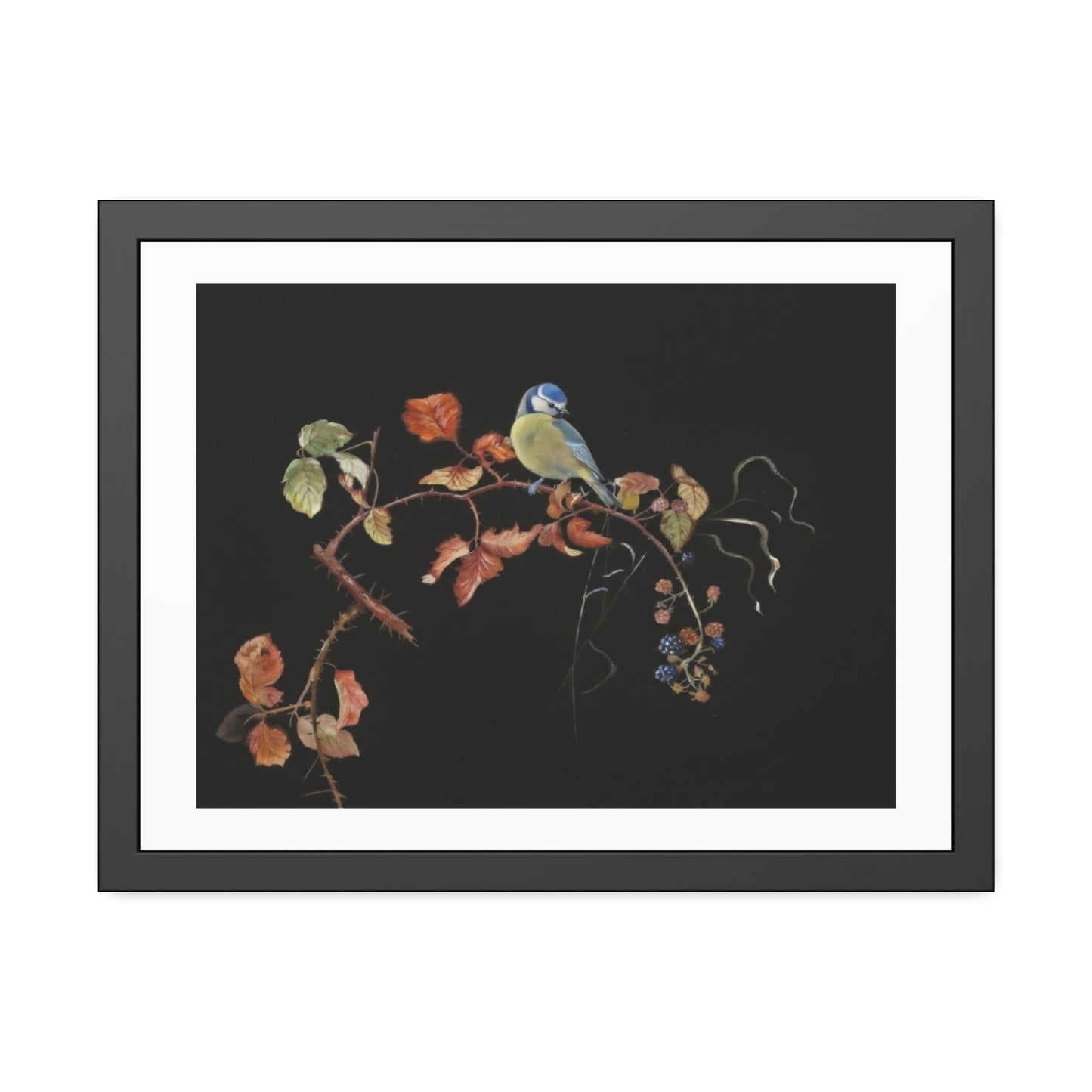 Framed Bird Print Poster — Vintage Botanical Bird Illustration on Black