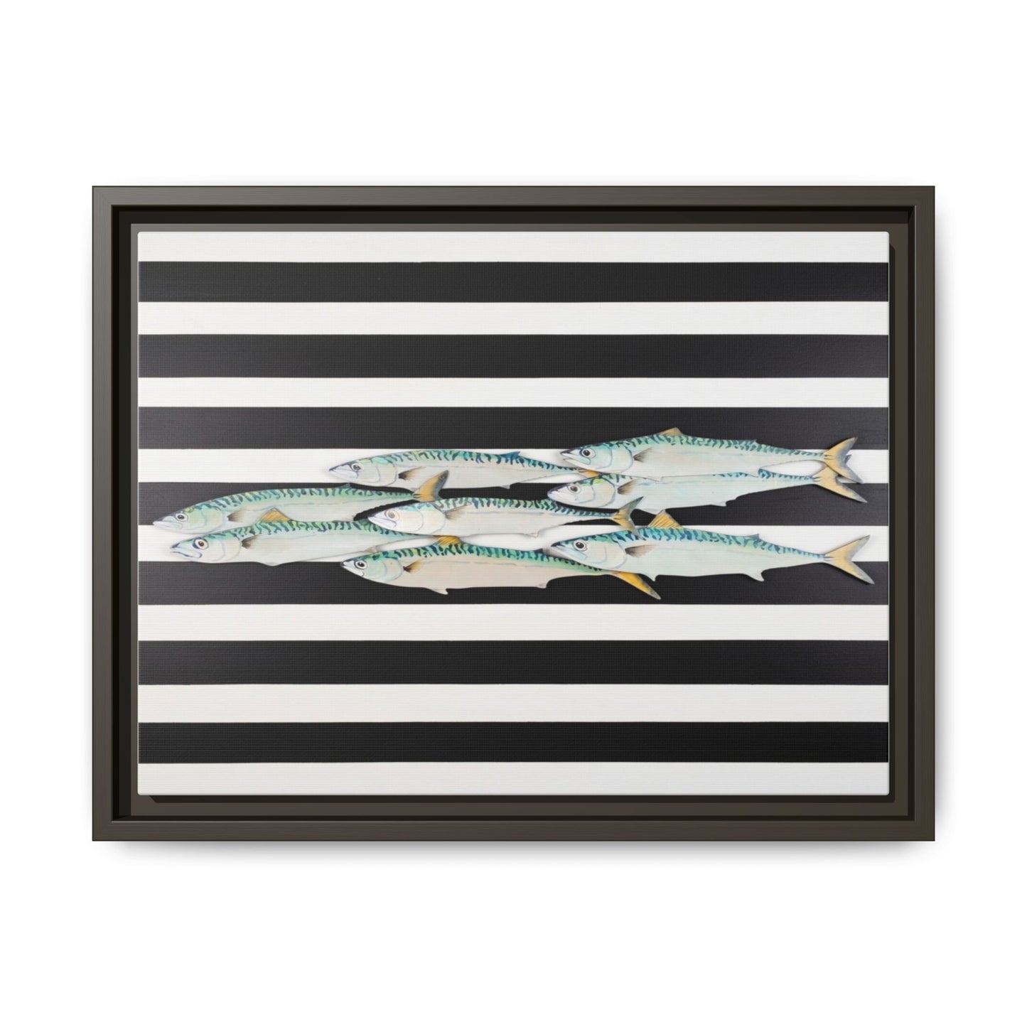 Striped Mackerel Canvas Print — Framed Matte Fish Wall Art