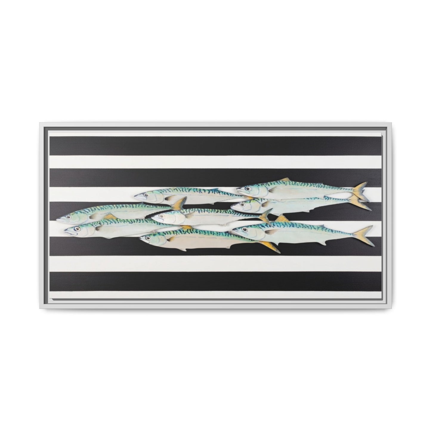 Striped Mackerel Canvas Print — Framed Matte Fish Wall Art