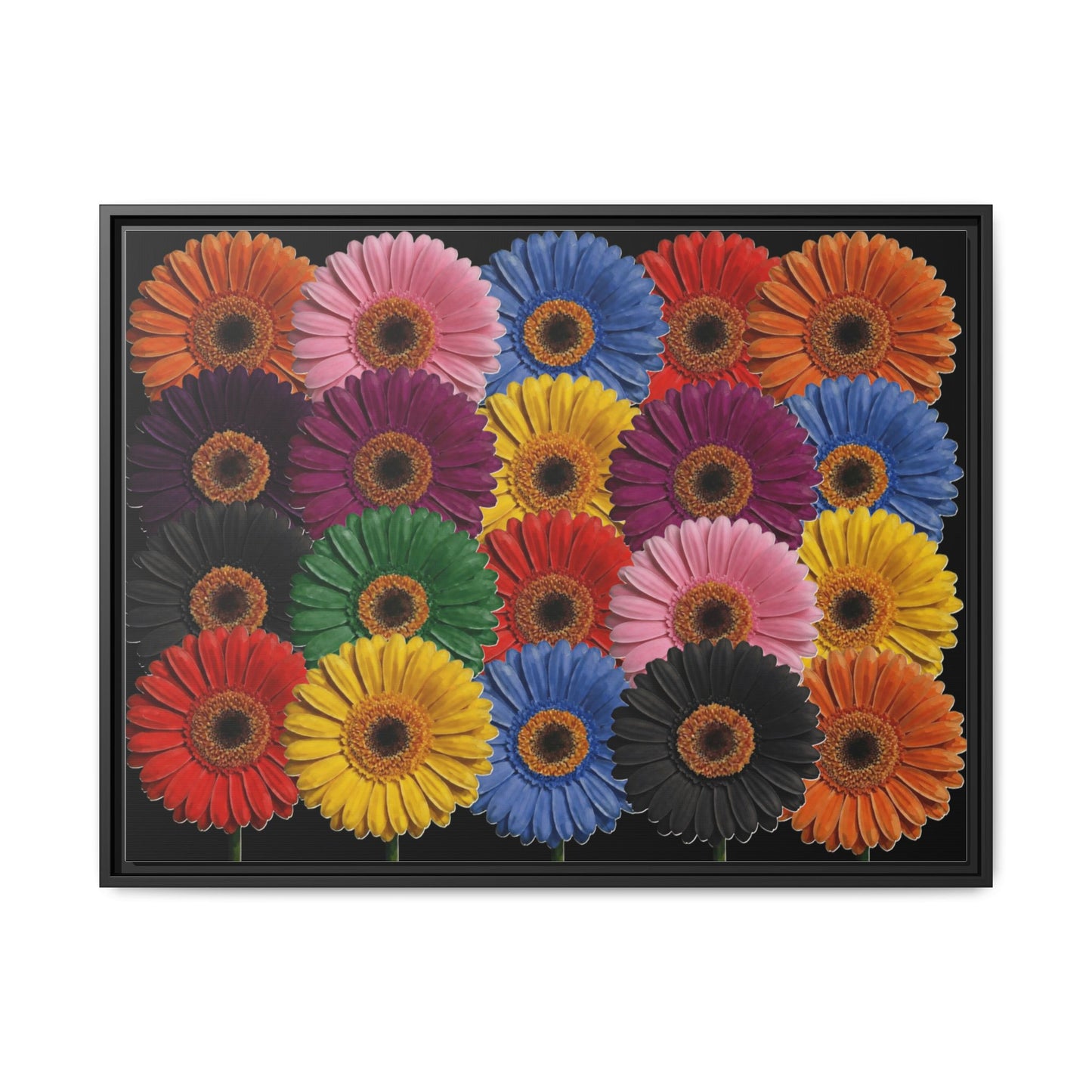 Framed Matte Canvas - Rainbow Gerbera Daisy Wall Art