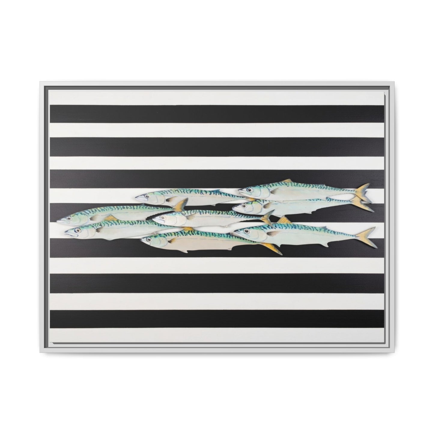 Striped Mackerel Canvas Print — Framed Matte Fish Wall Art
