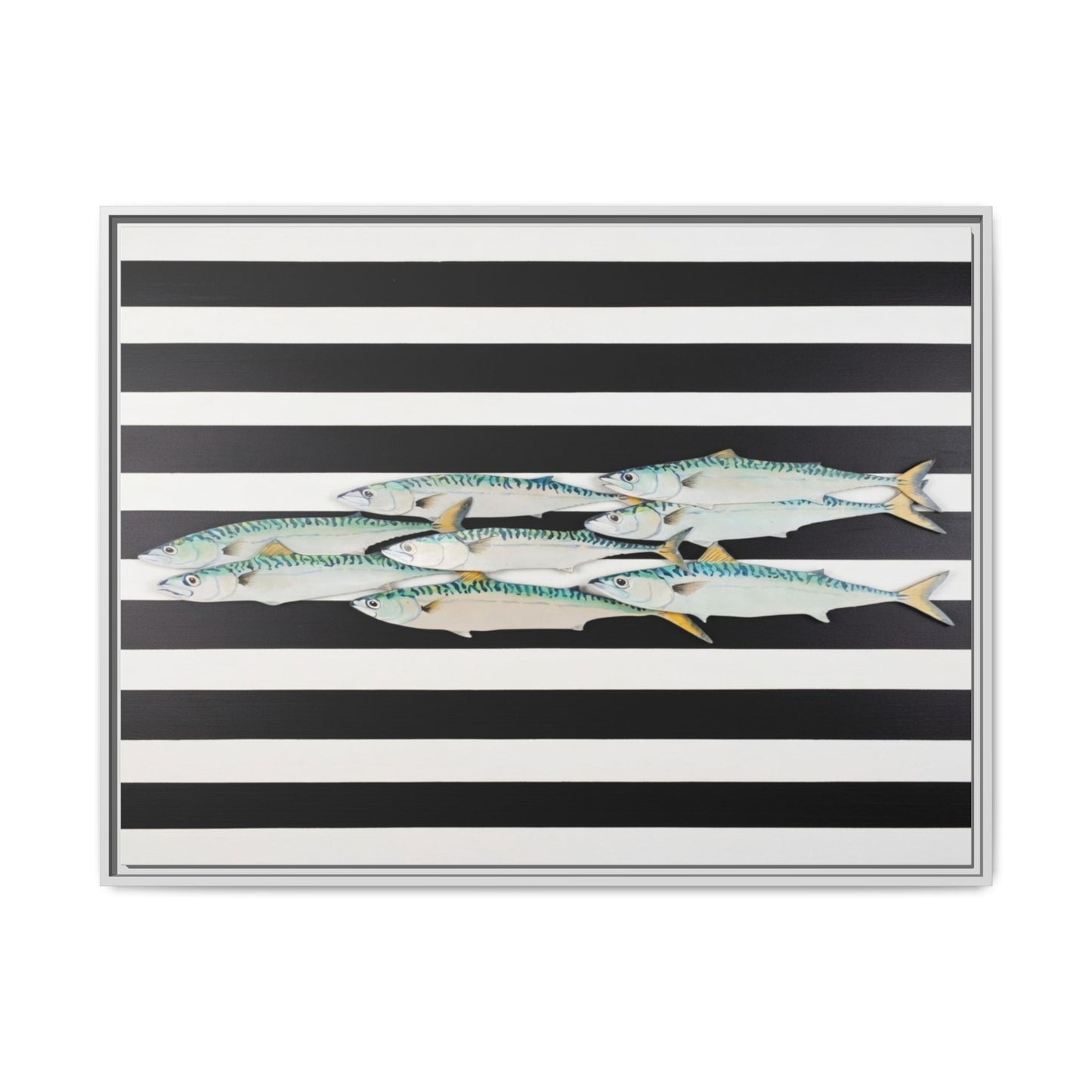 Striped Mackerel Canvas Print — Framed Matte Fish Wall Art