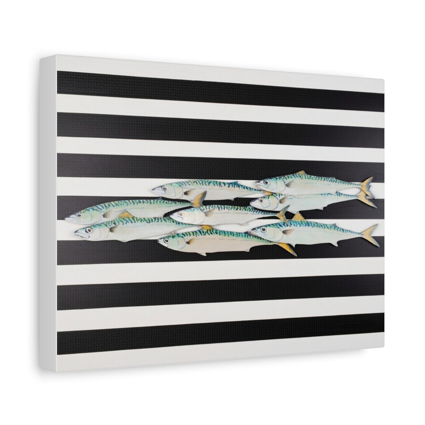 Striped Mackerel School Matte Canvas Print