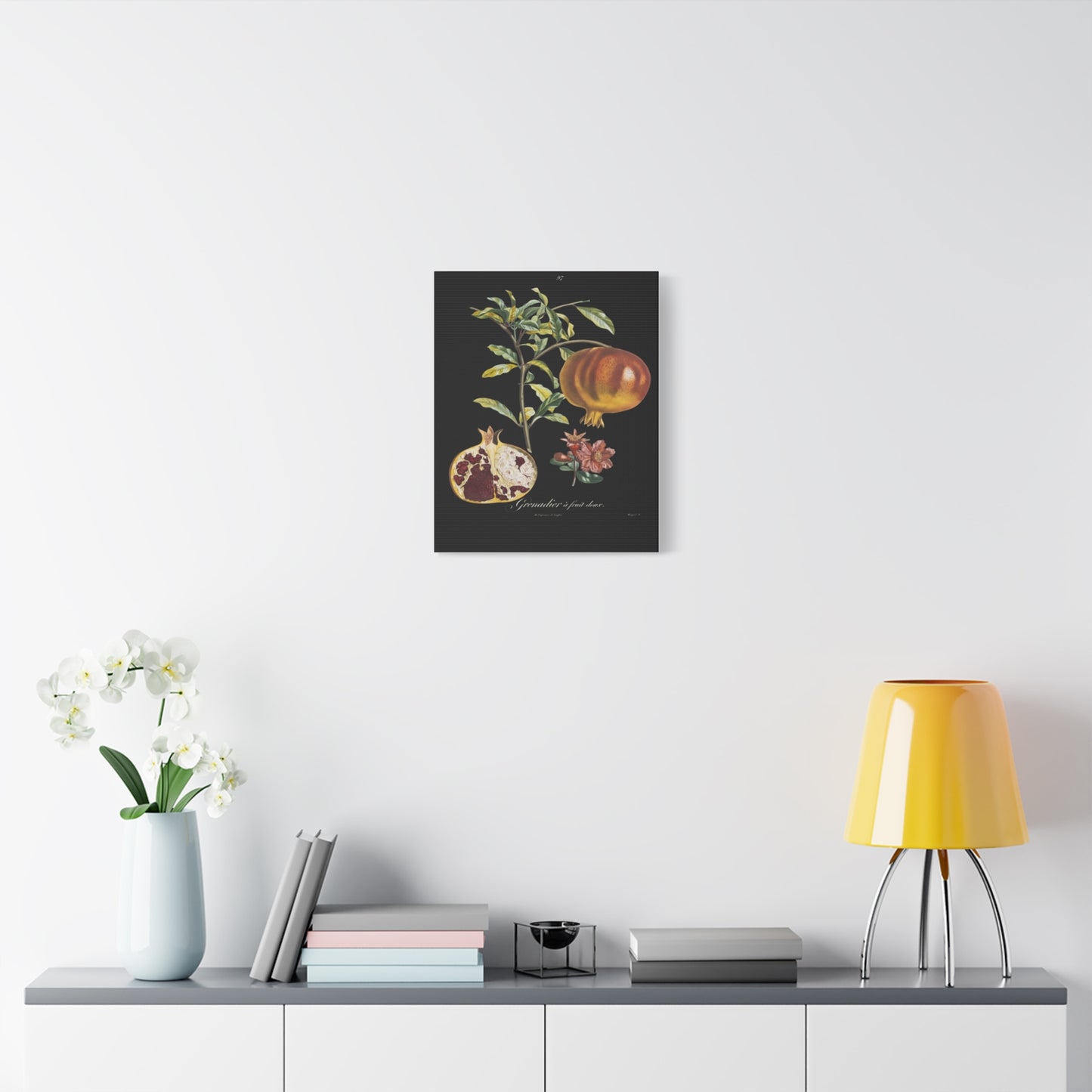 Pomegranate Botanical Canvas Print — Matte Stretched Wall Art