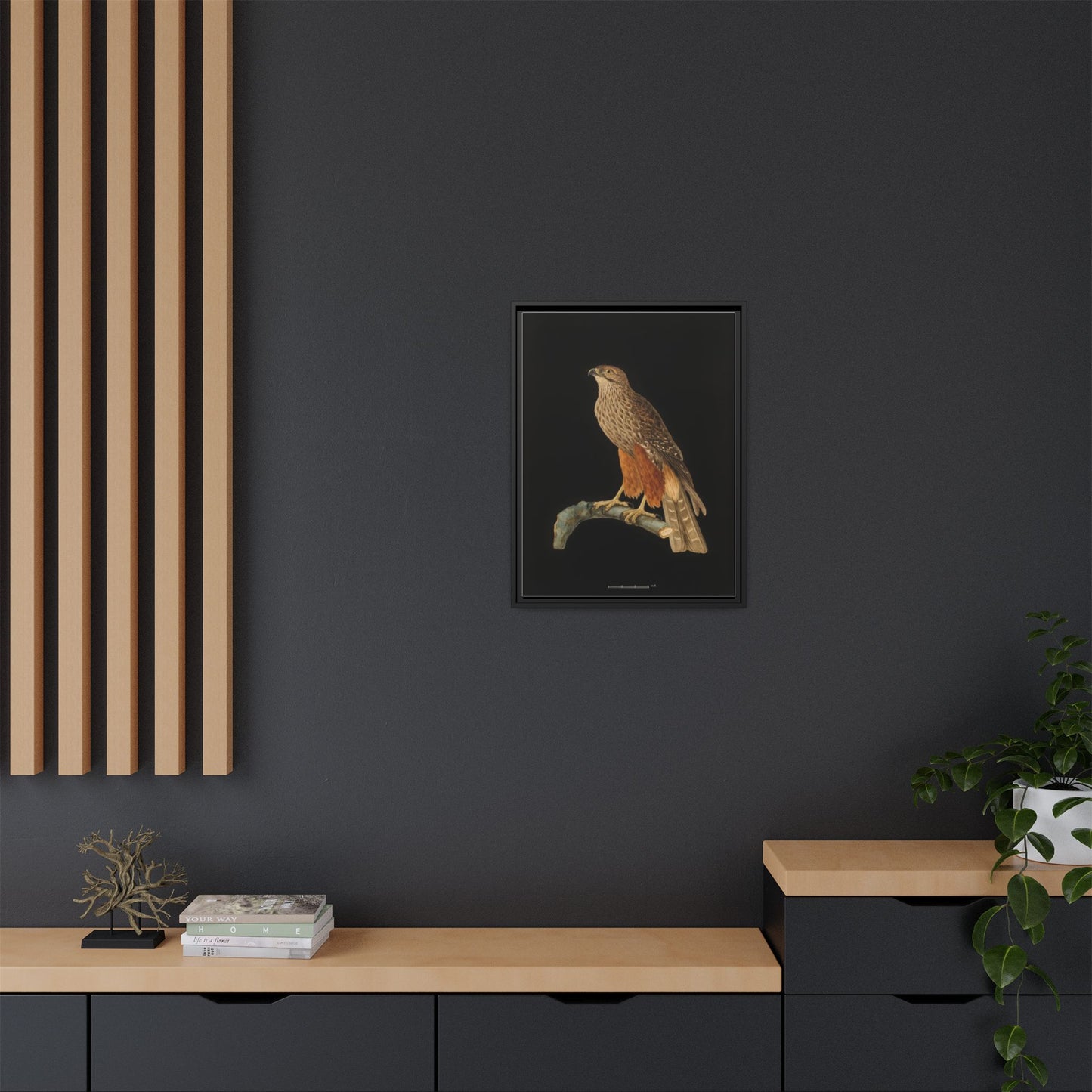 Framed Matte Canvas Print — Vintage Red-Shouldered Hawk Illustration