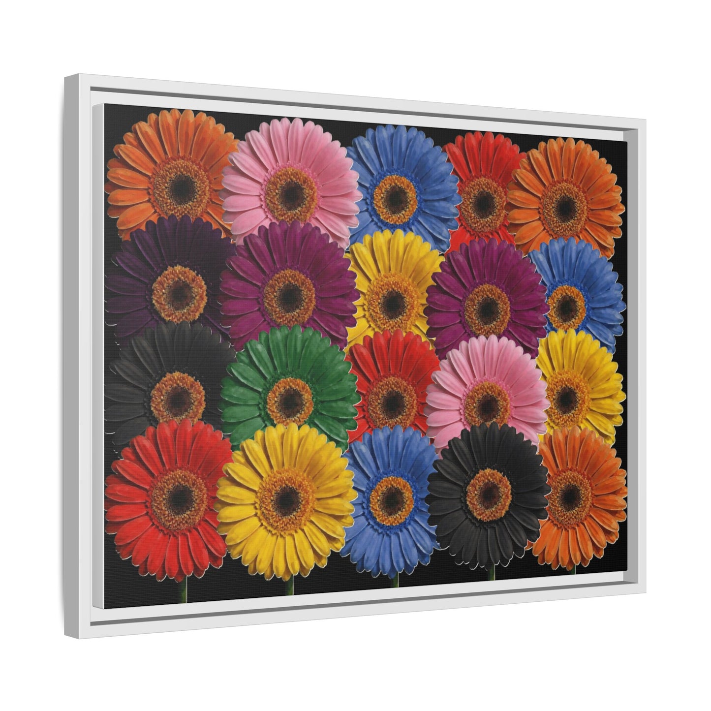 Framed Matte Canvas - Rainbow Gerbera Daisy Wall Art