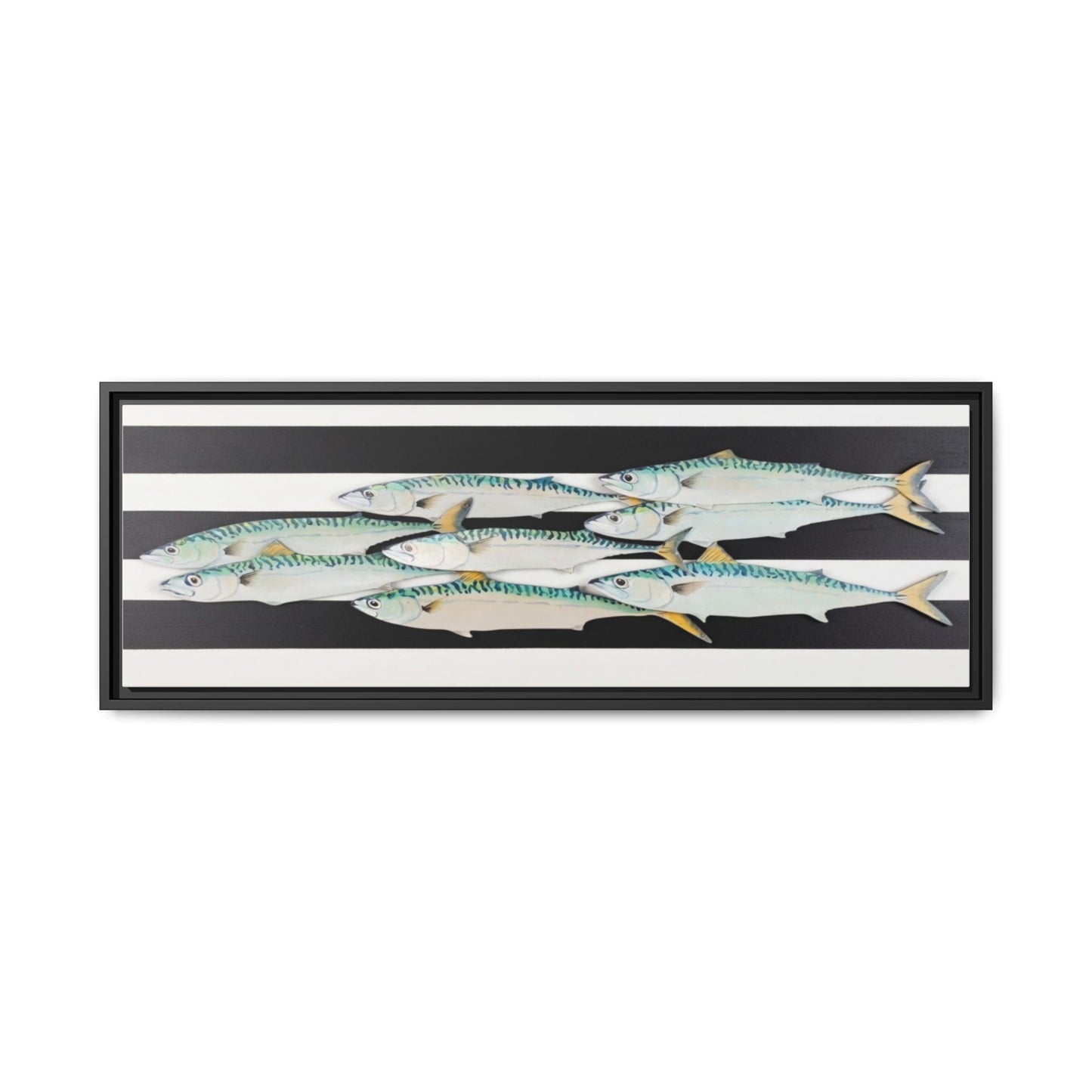 Striped Mackerel Canvas Print — Framed Matte Fish Wall Art